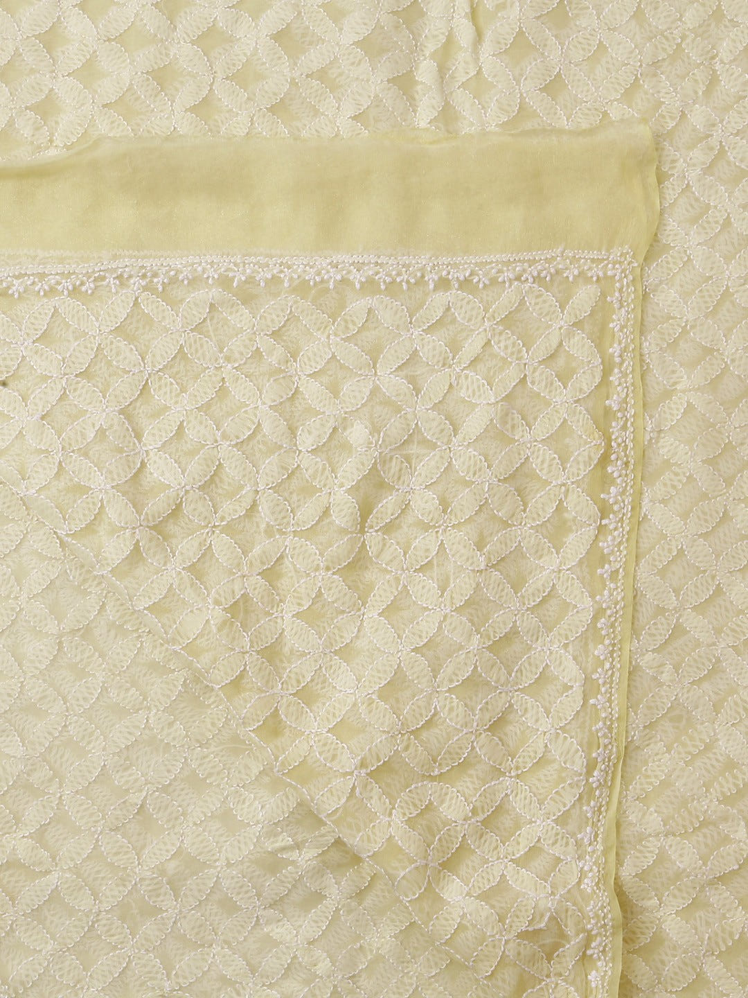 Ada Hand Embroidered Lemon Tissue Lucknowi Chikankari Dupatta- A586387