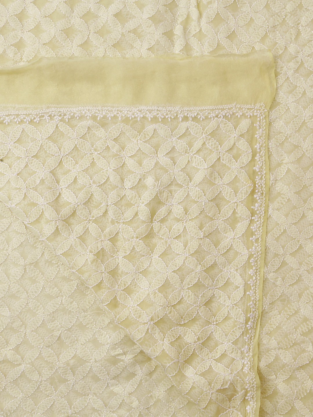 Ada Hand Embroidered Lemon Tissue Lucknowi Chikankari Dupatta- A586387
