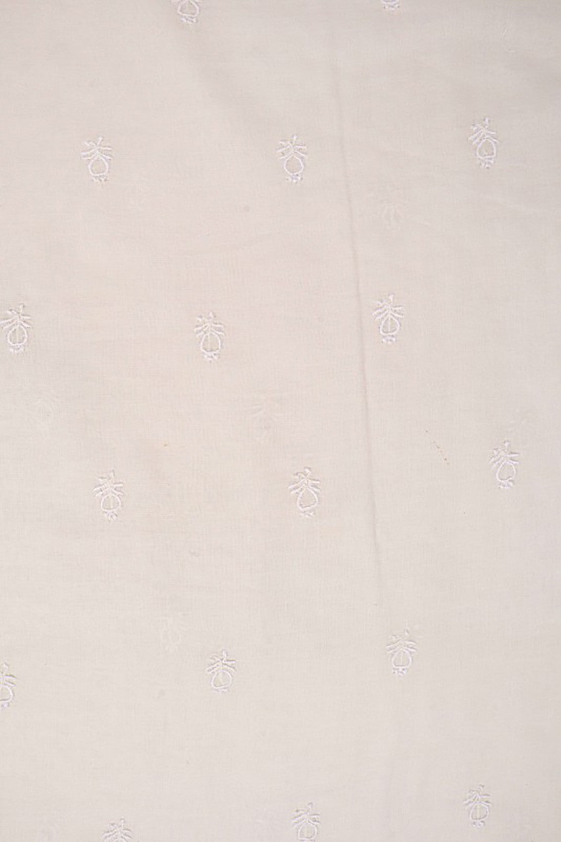 Ada Hand Embroidered Cream Cotton Lucknowi Chikankari Kurta Piece A136889