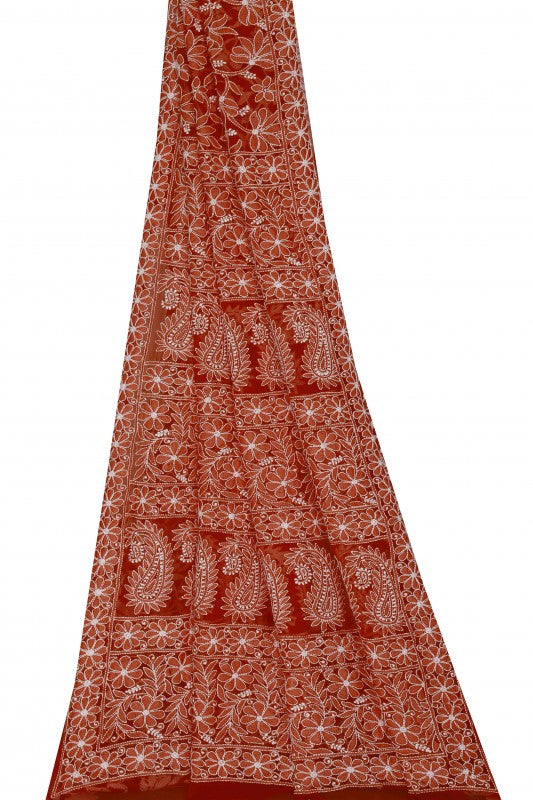 Ada Hand Embroidered Red Georgette Lucknowi Chikankari Saree with Blouse A611557