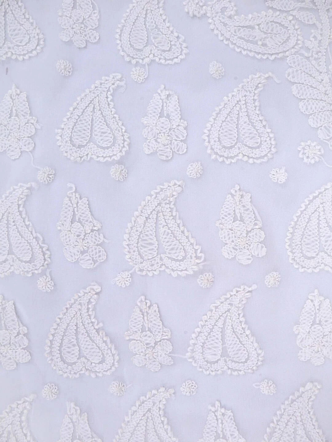 Ada Hand Embroidered White Georgette Lucknowi Chikankari Saree With Blouse 01A238158