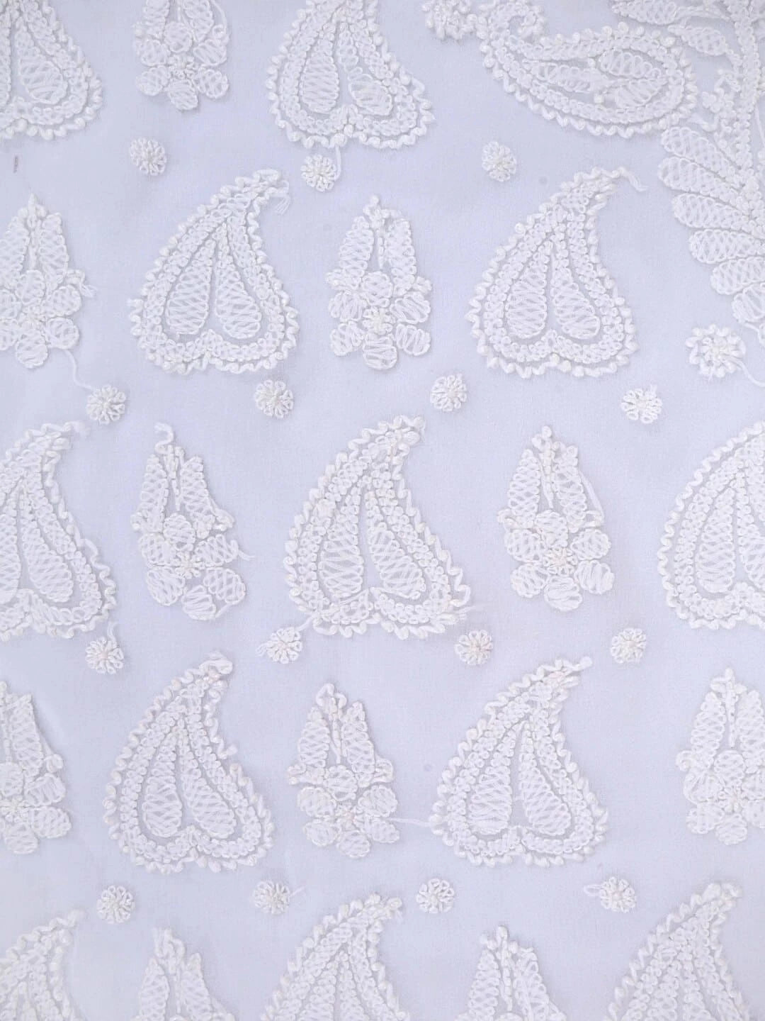 Ada Hand Embroidered White Georgette Lucknowi Chikankari Saree With Blouse 01A238158