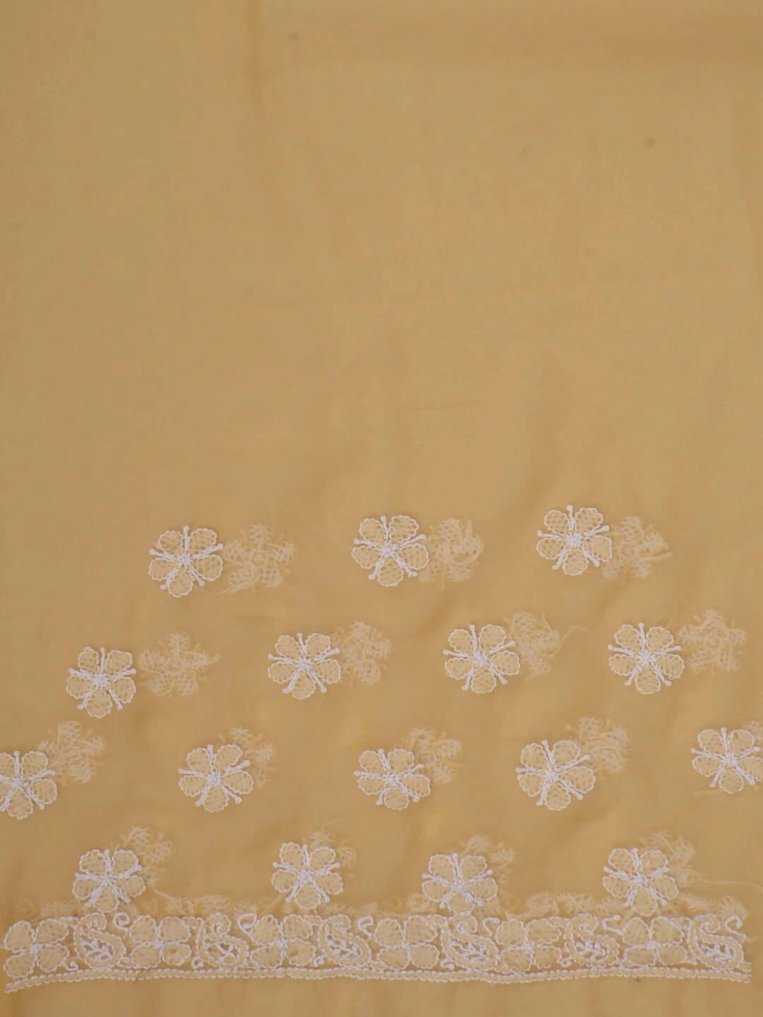 Ada Hand Embroidered Fawn Georgette Lucknowi Chikankari Saree With Blouse 01A43292