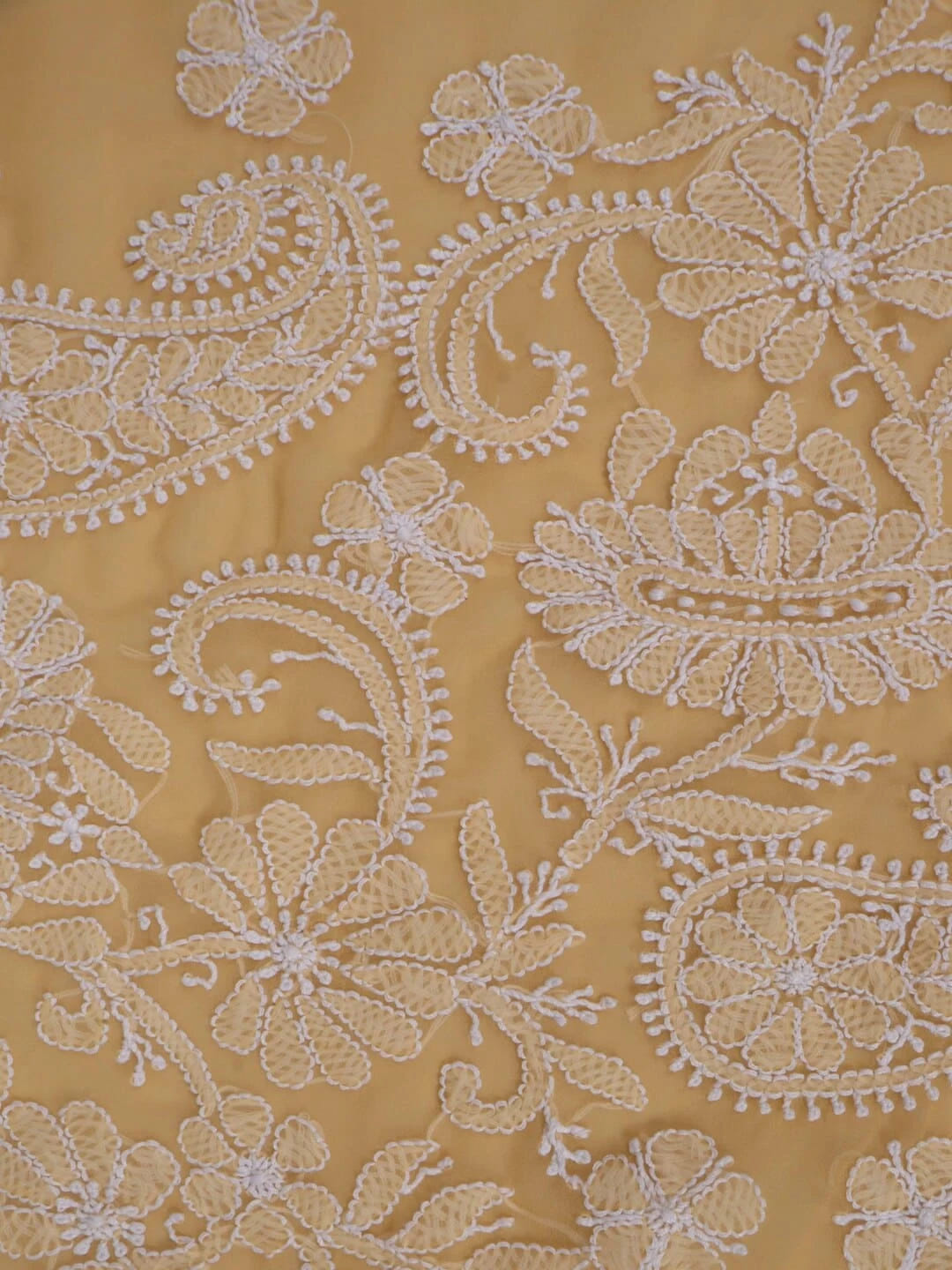 Ada Hand Embroidered Fawn Georgette Lucknowi Chikankari Saree With Blouse 01A43292