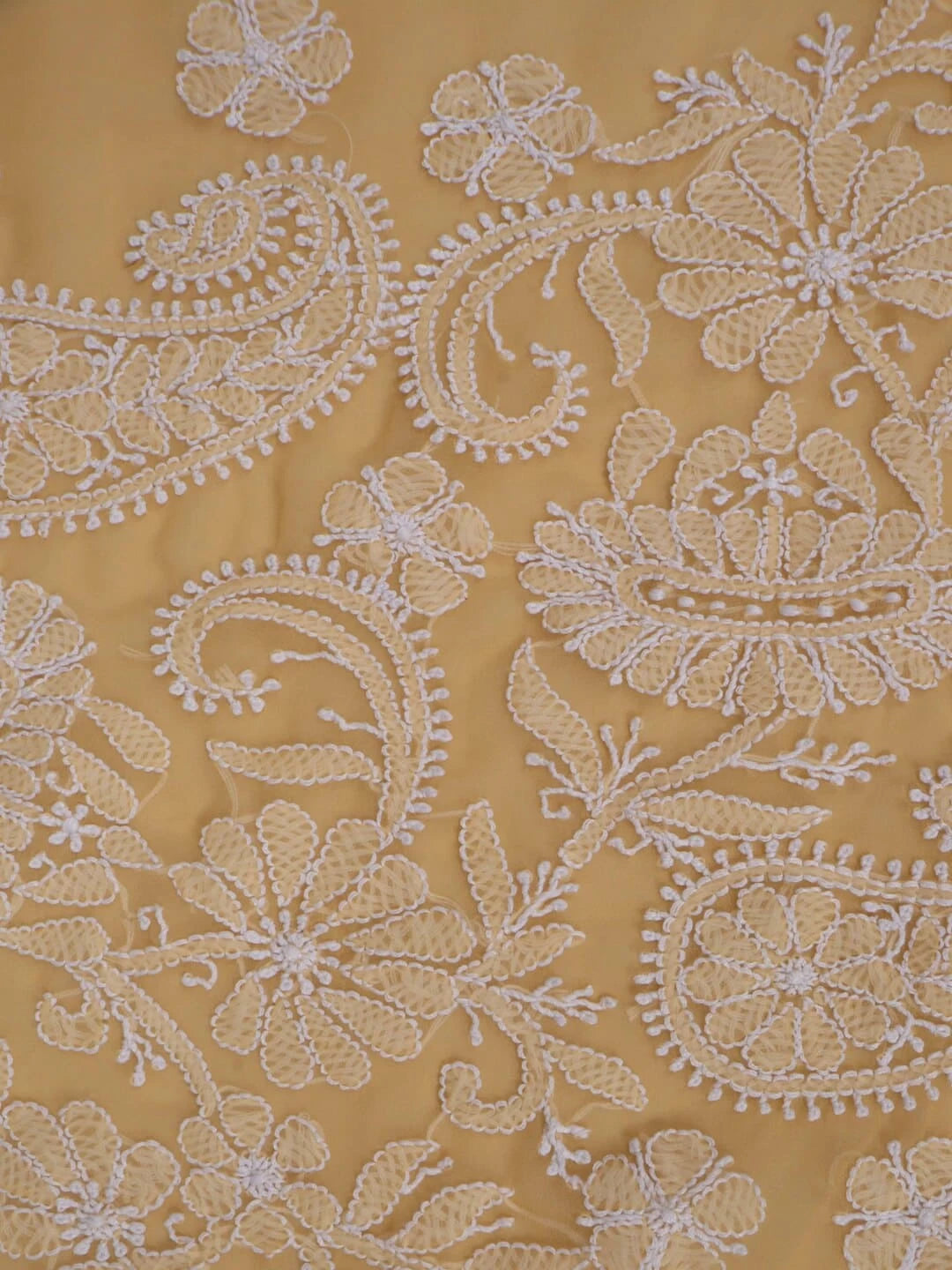Ada Hand Embroidered Fawn Georgette Lucknowi Chikankari Saree With Blouse 01A43292