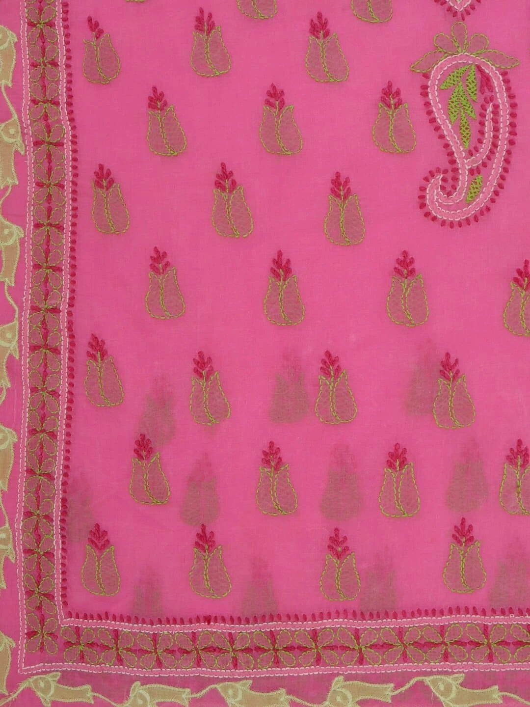 Ada Hand Embroidered Pink Cotton Lucknowi Chikankari Saree With Blouse A160534