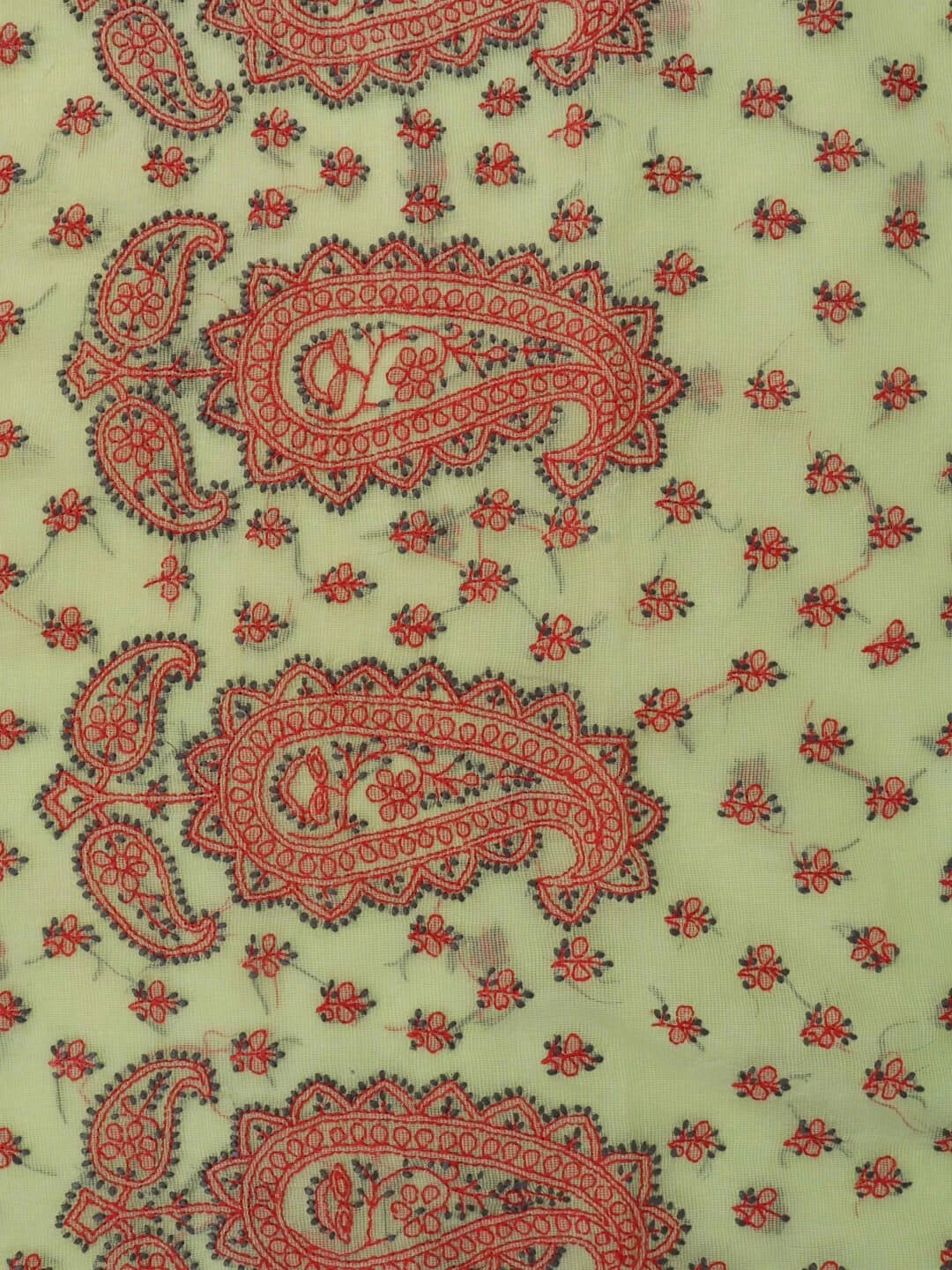 Ada Hand Embroidered Lime Green Kota Lucknowi Chikankari Saree With Blouse  01A79184