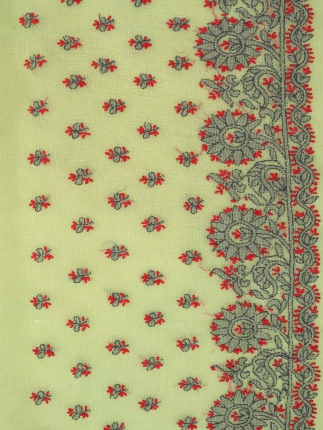 Ada Hand Embroidered Lime Green Kota Lucknowi Chikankari Saree With Blouse 01A79183