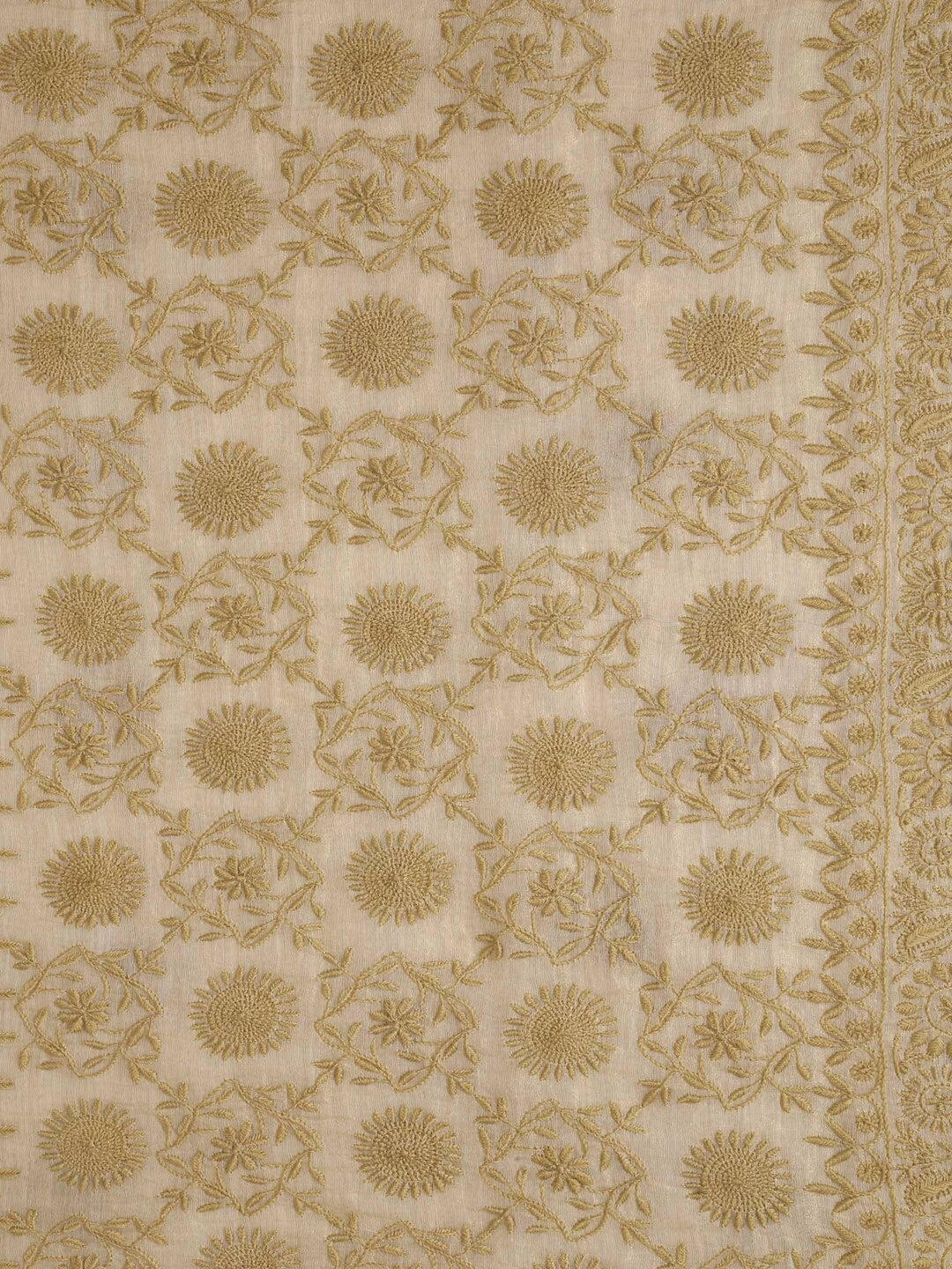 Ada Hand Embroidered Natural Fawn Tissue Lucknowi Chikankari Saree With Blouse A606166