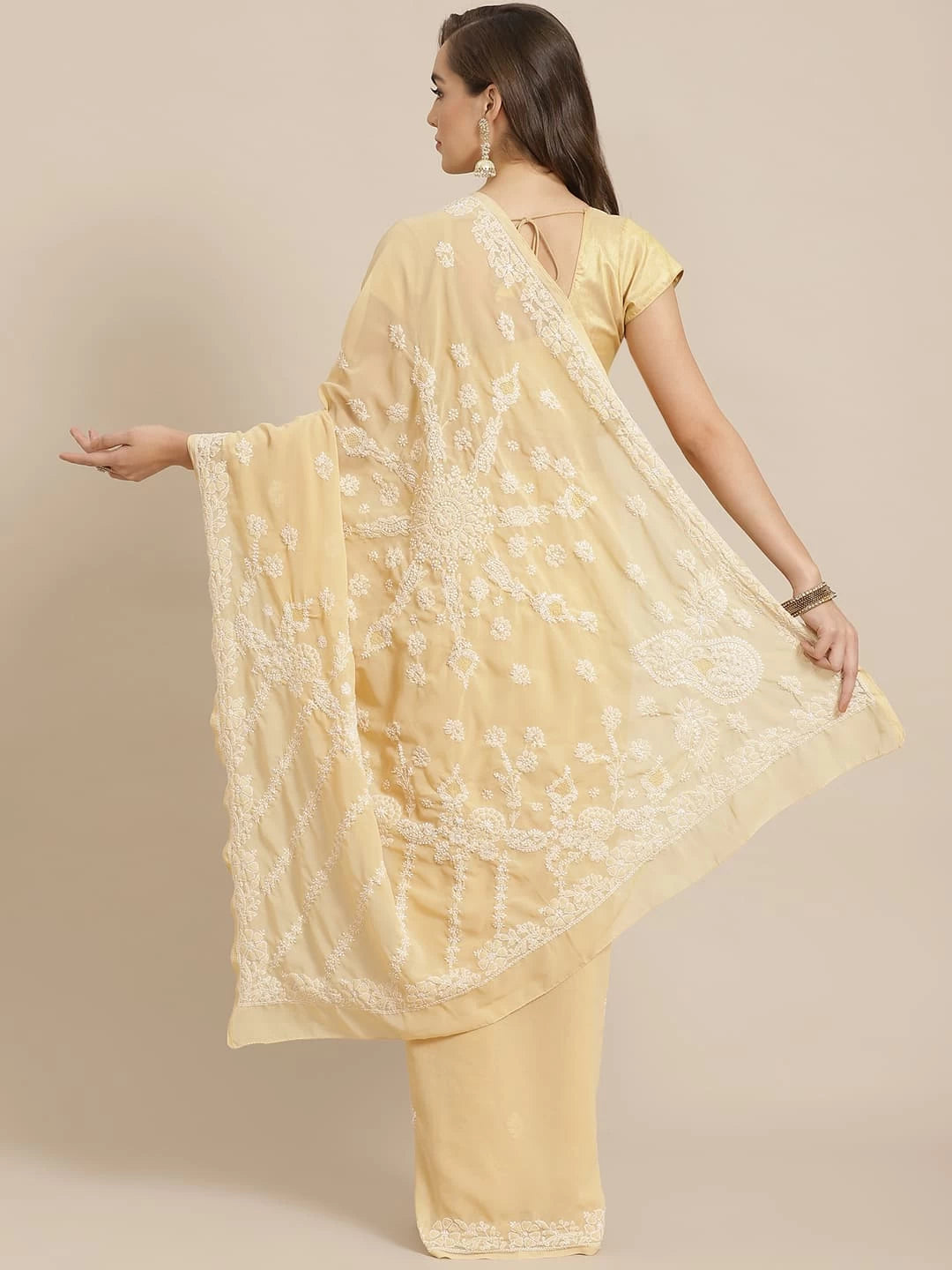 Ada Hand Embroidered Fawn Georgette Lucknowi Chikankari Saree With Blouse A183608