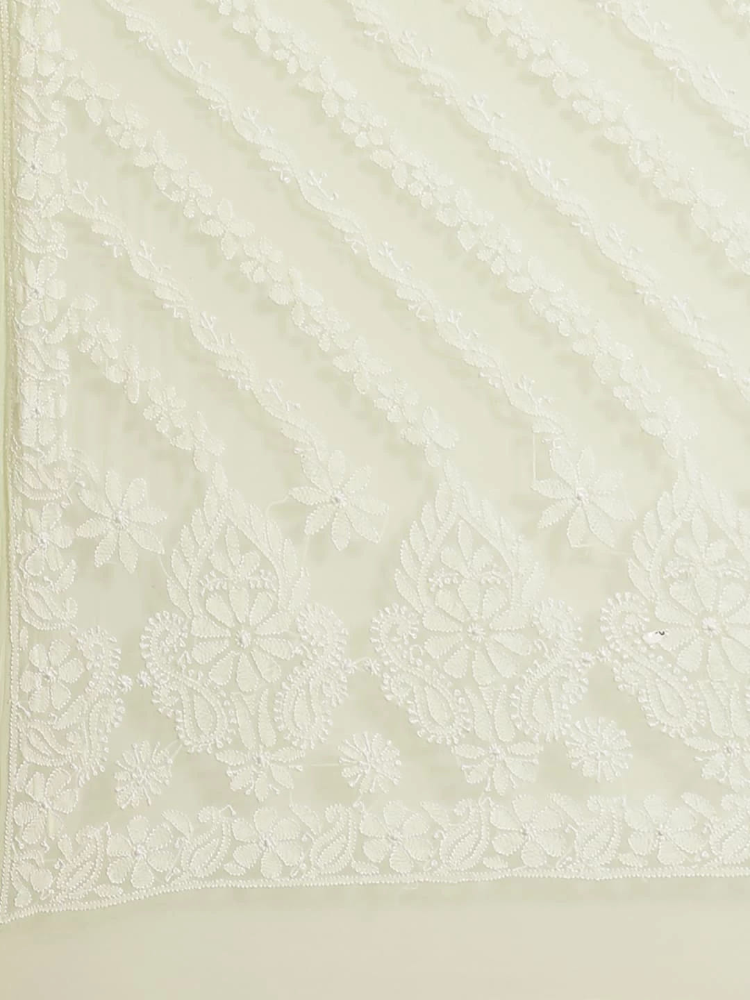 Ada Hand Embroidered Lemon Georgette Lucknowi Chikankari Saree With Blouse A311234