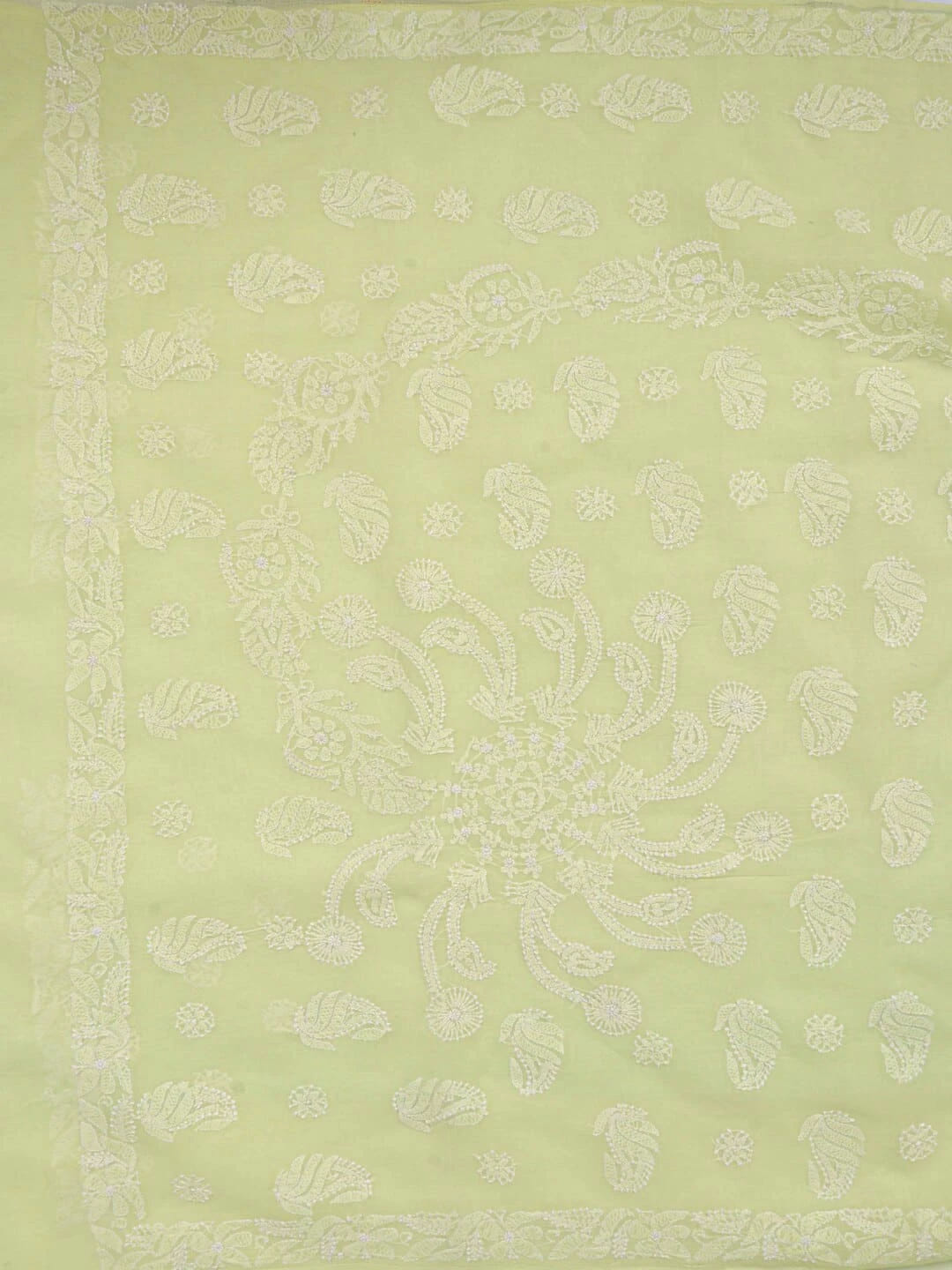 Ada Hand Embroidered Lemon Cotton Lucknowi Chikankari Saree With Blouse 01A106498