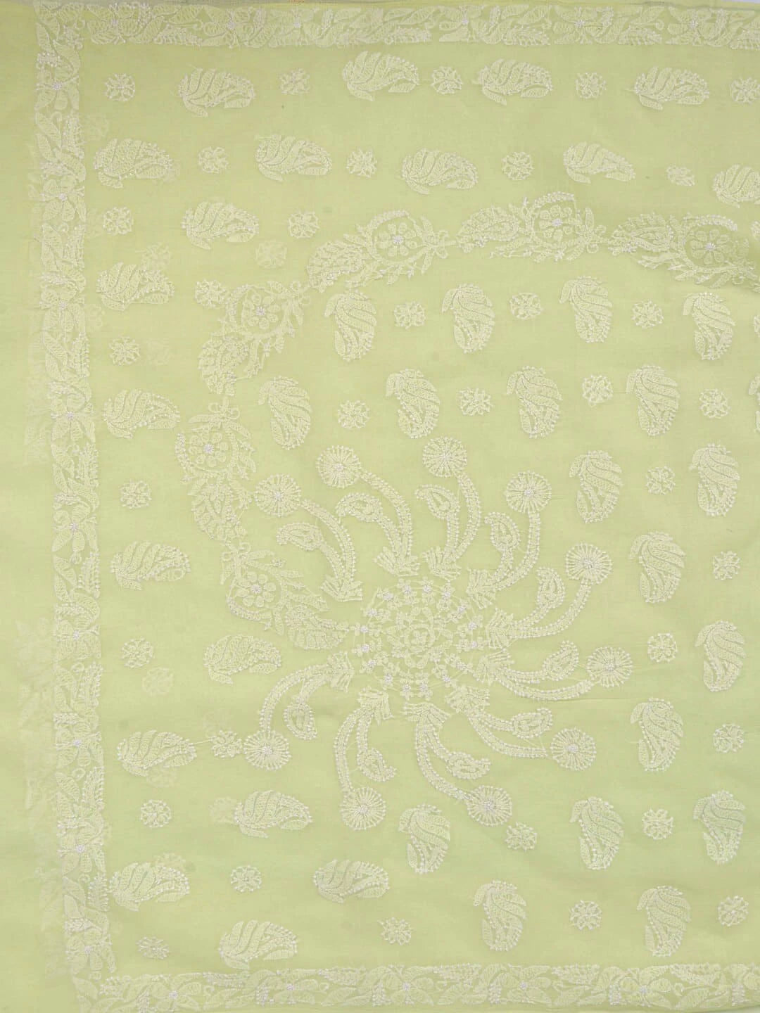 Ada Hand Embroidered Lemon Cotton Lucknowi Chikankari Saree With Blouse 01A106498
