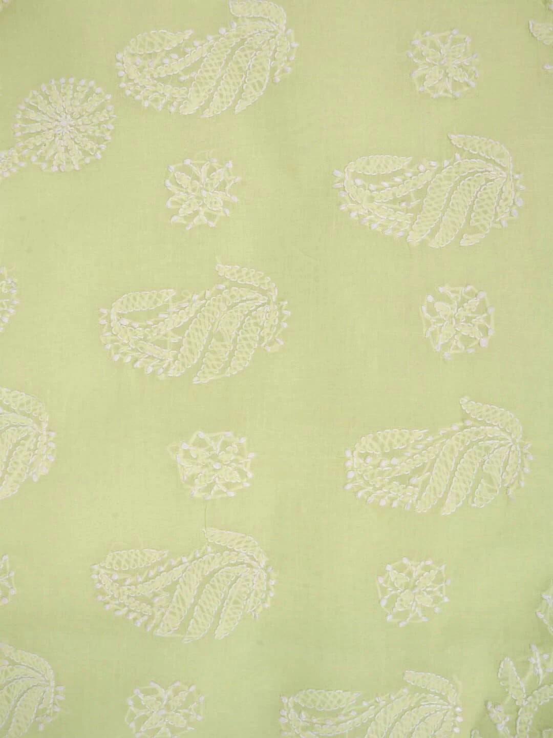 Ada Hand Embroidered Lemon Cotton Lucknowi Chikankari Saree With Blouse 01A106498