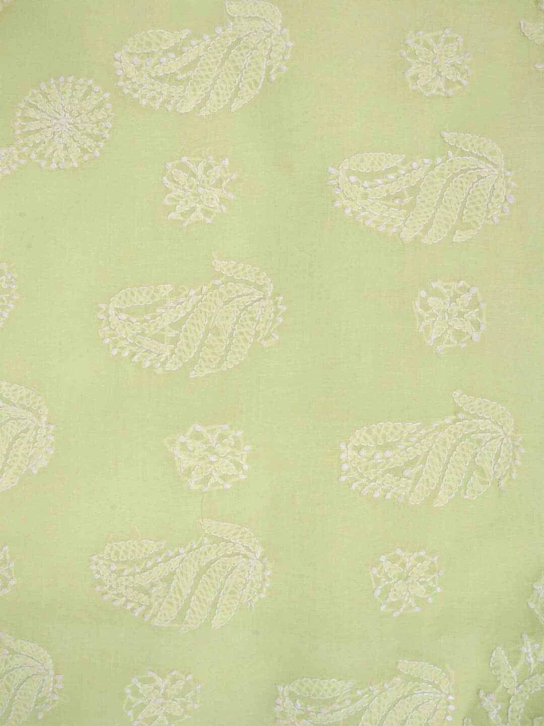 Ada Hand Embroidered Lemon Cotton Lucknowi Chikankari Saree With Blouse 01A106498