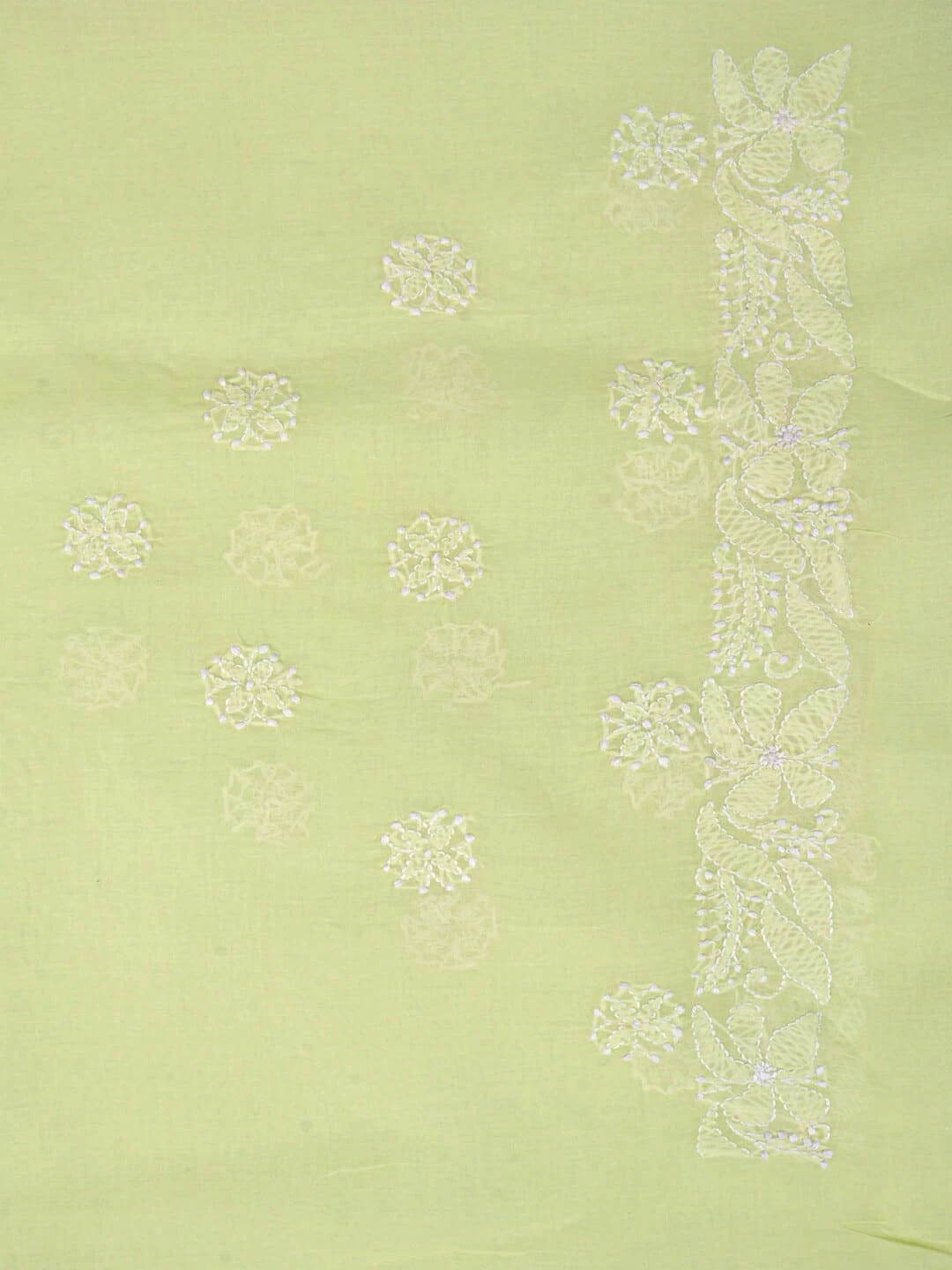 Ada Hand Embroidered Lemon Cotton Lucknowi Chikankari Saree With Blouse 01A106498
