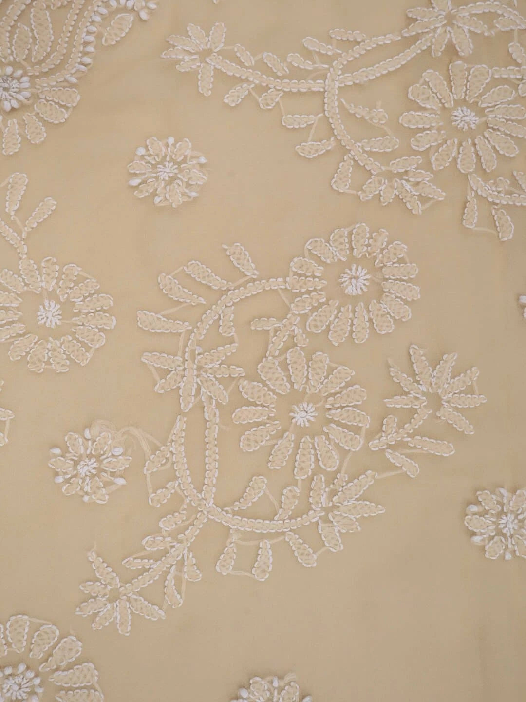 Ada Hand Embroidered Fawn Georgette Lucknowi Chikankari Saree With Blouse 01A238138