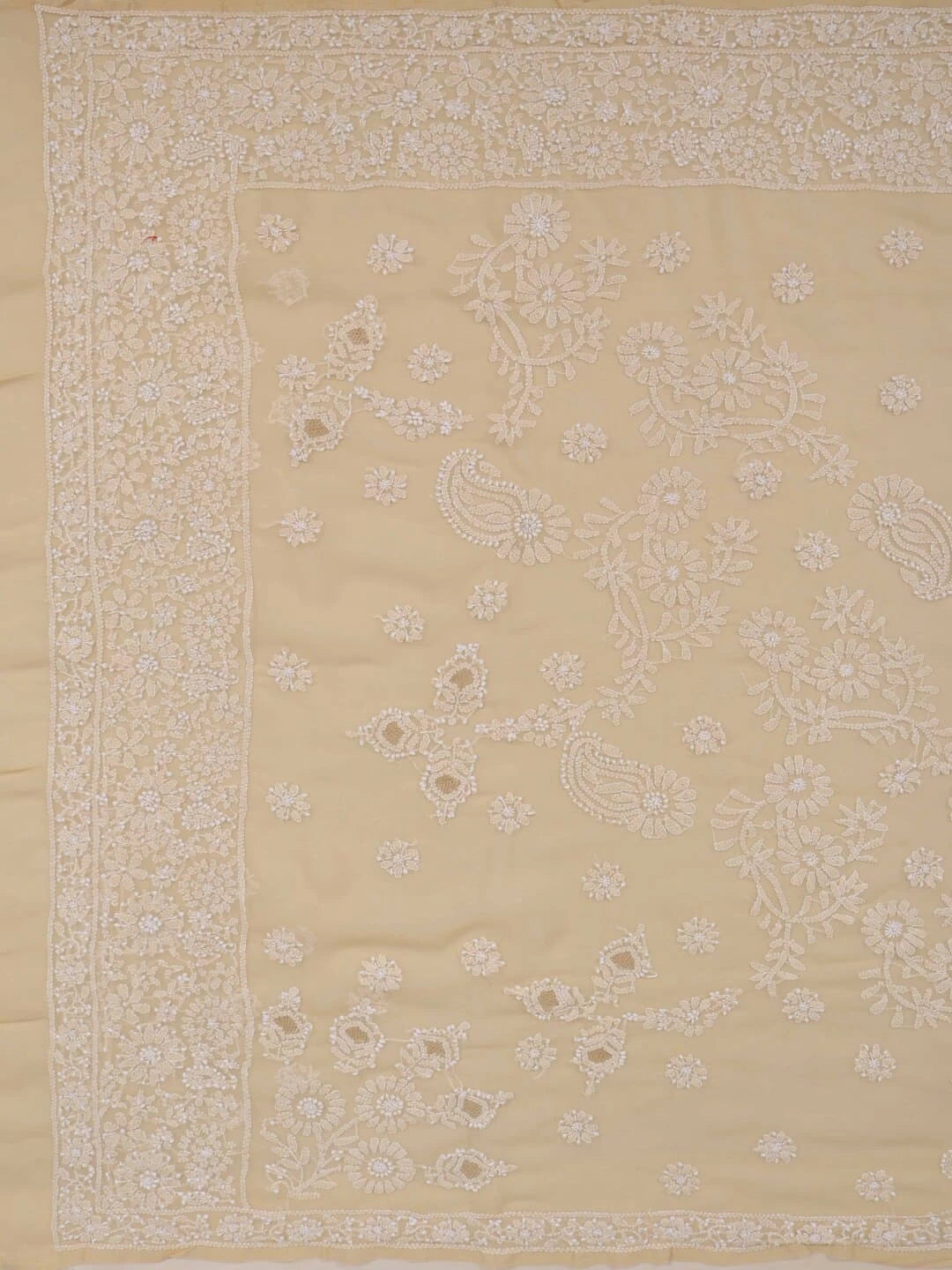 Ada Hand Embroidered Fawn Georgette Lucknowi Chikankari Saree With Blouse 01A238138