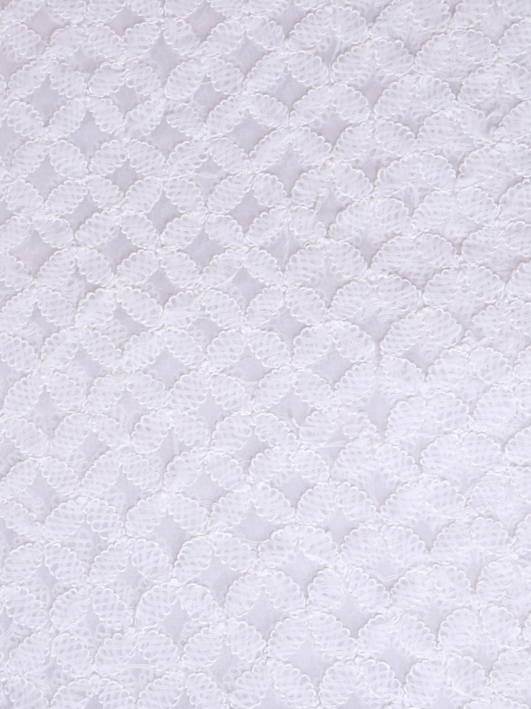 Ada Hand Embroidered White Georgette Lucknowi Chikankari Dupatta A624078