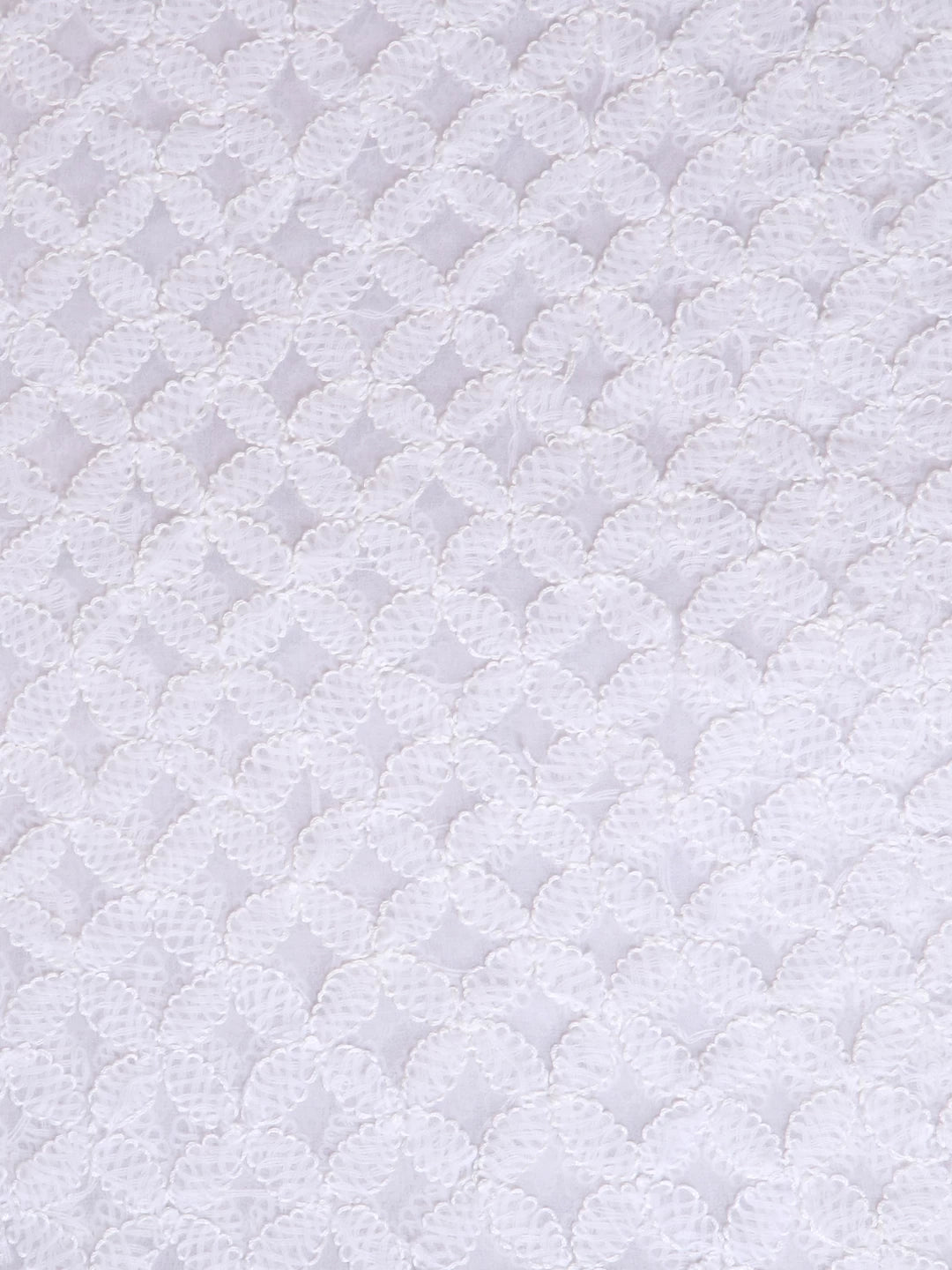 Ada Hand Embroidered White Georgette Lucknowi Chikankari Dupatta A624078