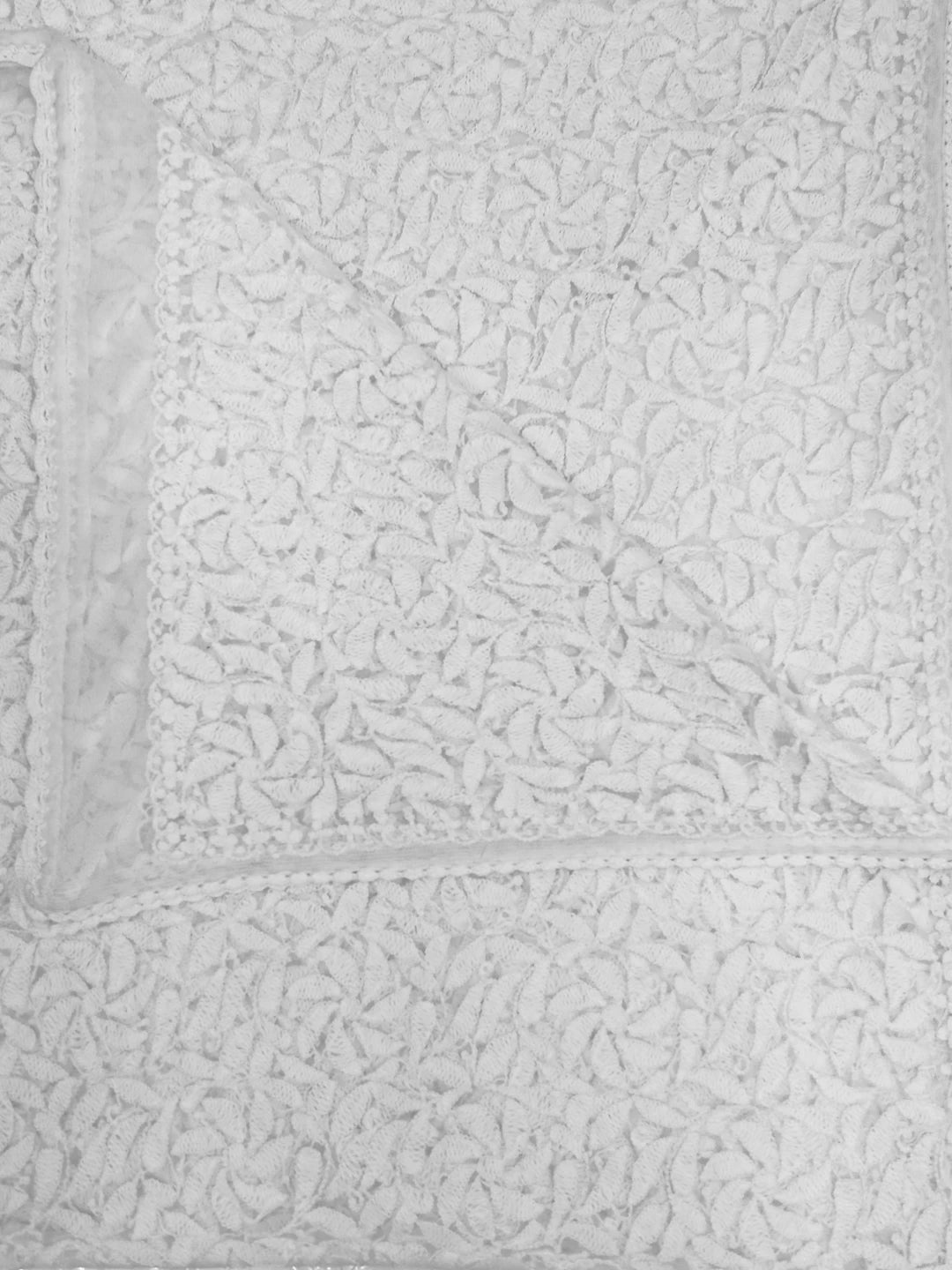 Ada Hand Embroidered White Net Lucknowi Chikankari Dupatta 01A190859