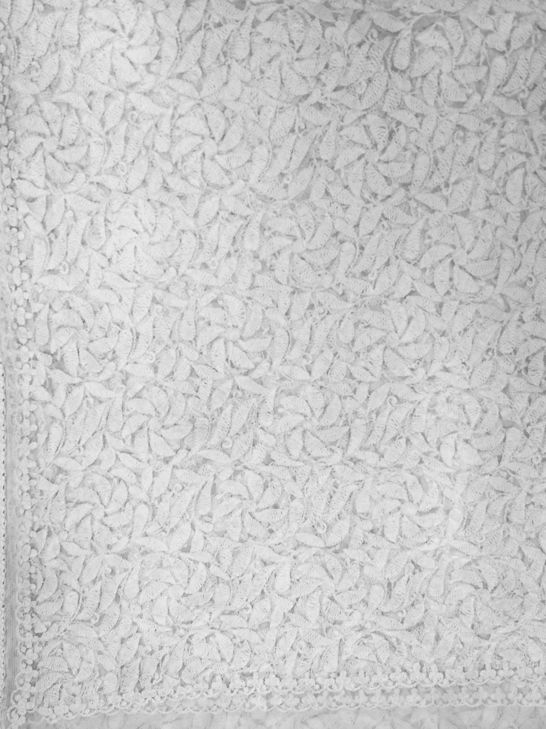 Ada Hand Embroidered White Net Lucknowi Chikankari Dupatta 01A190859