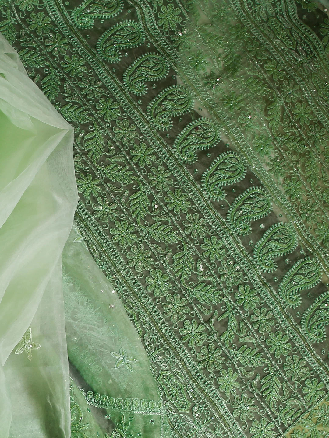 Ada Hand Embroidered Light Green Organza Lucknowi Chikankari Saree With Blouse And Mukaish Work 01A421661