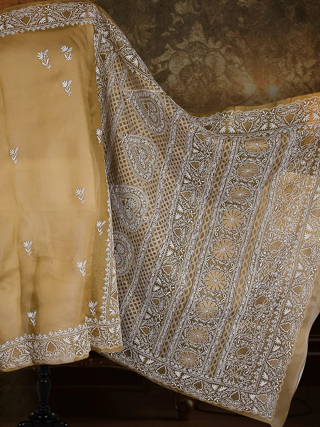 Ada Hand Embroidered Nutty Brown Organza Lucknowi Chikankari Saree With Blouse And Zari Work 01A524154