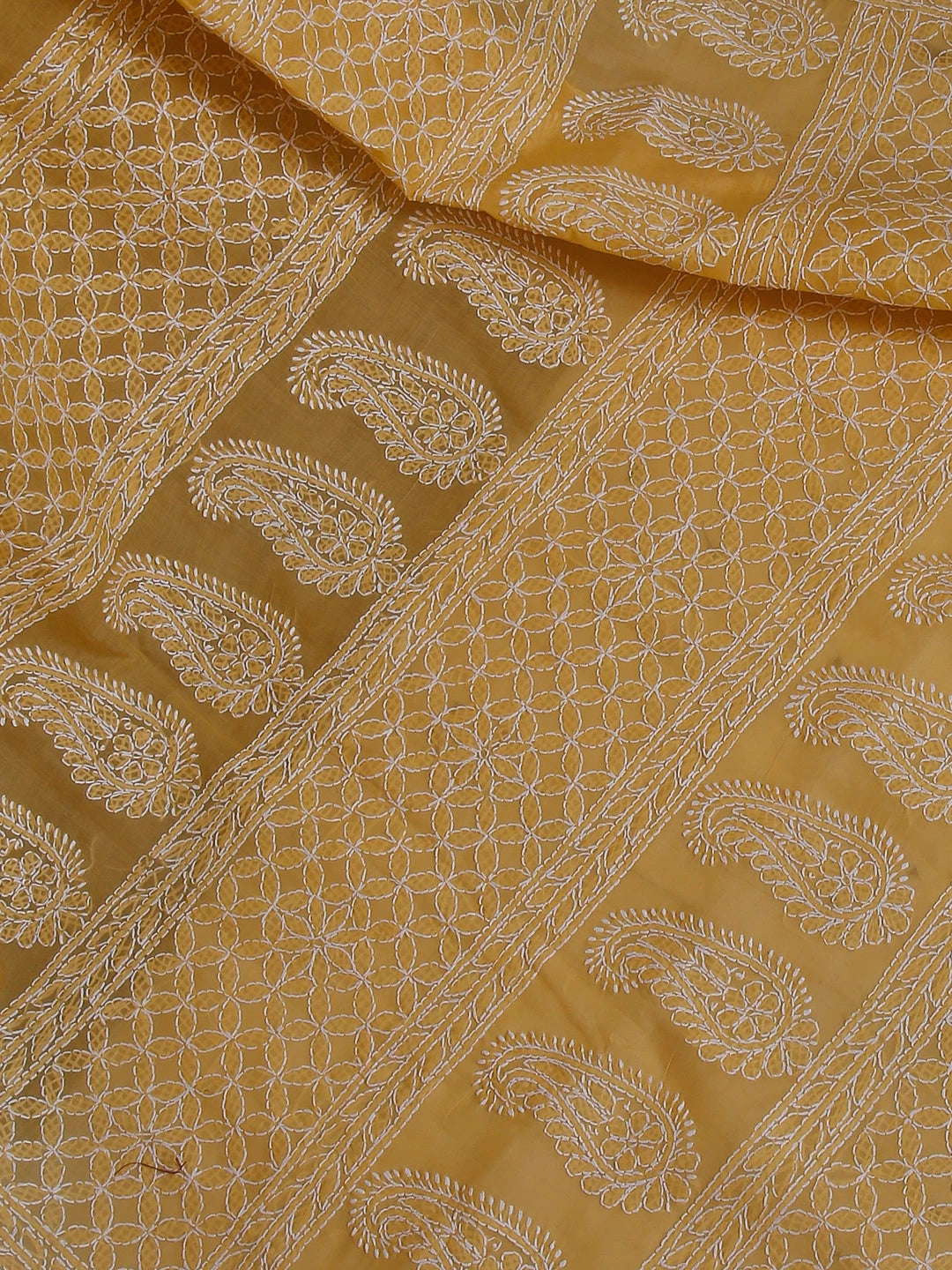 Ada Hand Embroidered Fawn Cotton Lucknowi Chikankari Saree With Blouse 01A525268
