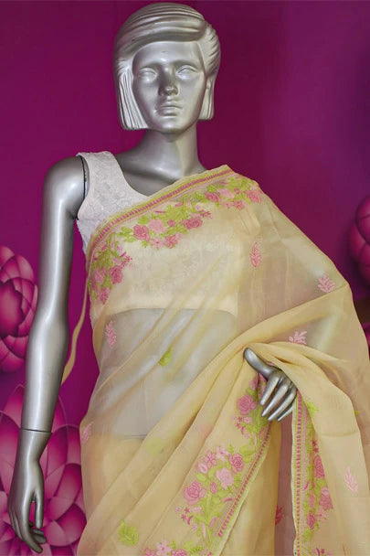 Ada Hand Embroidered Fawn Organza Lucknowi Chikankari Saree With Blouse 01A557325