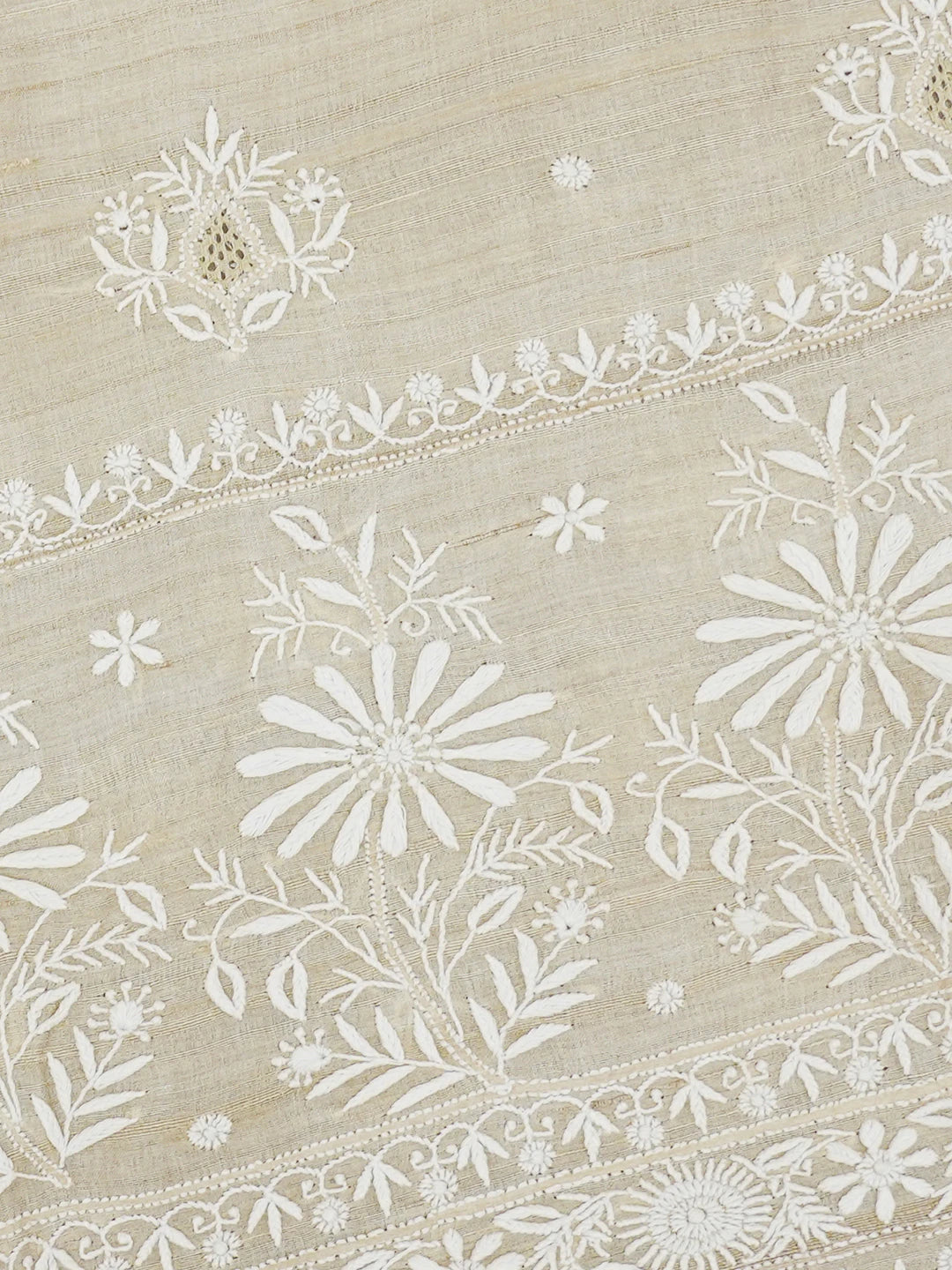 Ada Hand Embroidered Fawn Silk Lucknowi Chikankari Saree and Blouse 01A626862