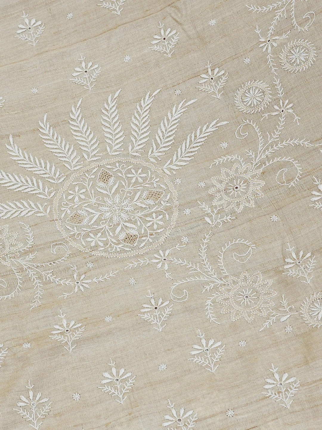 Ada Hand Embroidered Fawn Moonga Silk Lucknowi Chikankari Saree and Blouse 01A596717