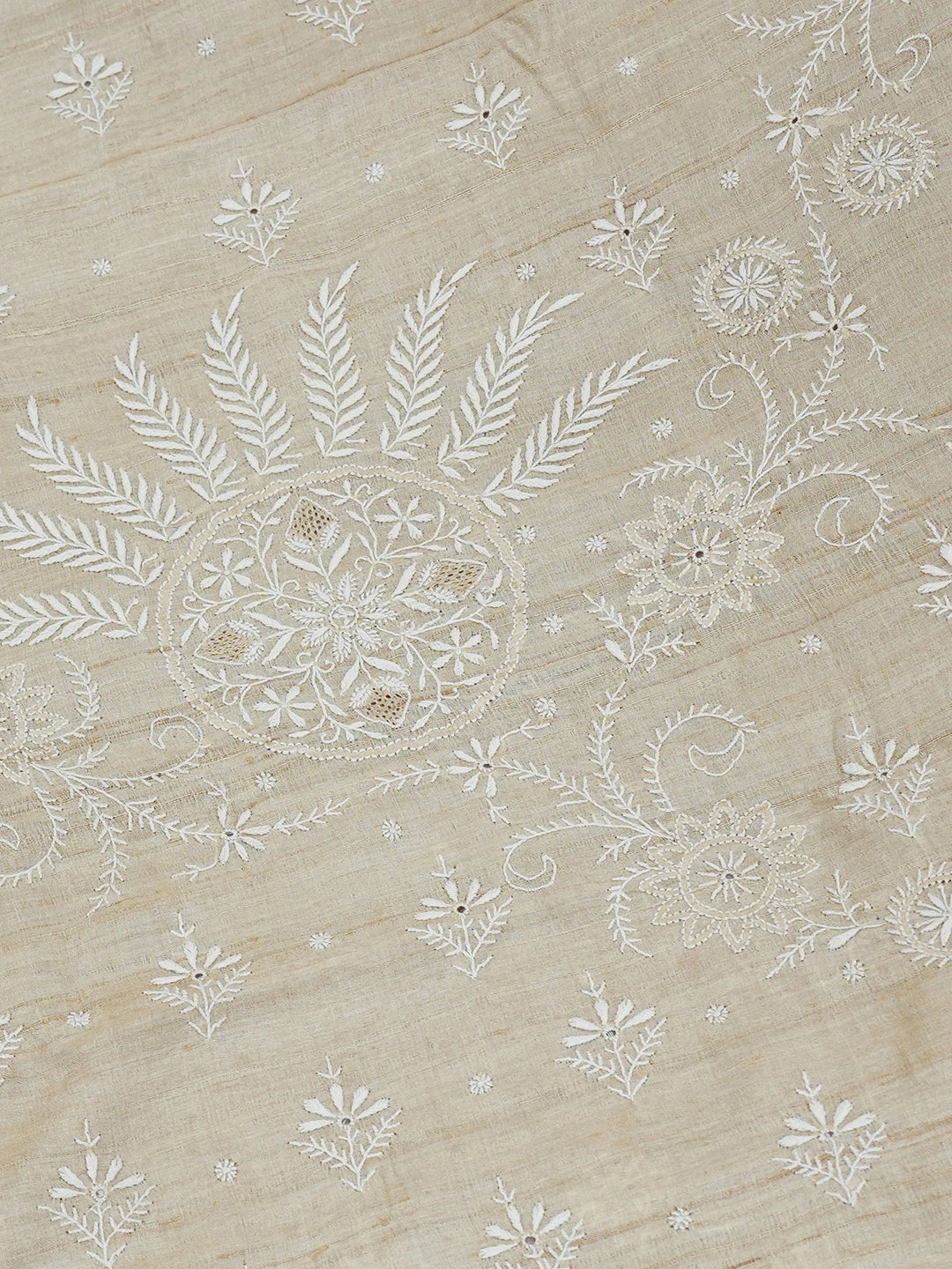 Ada Hand Embroidered Fawn Moonga Silk Lucknowi Chikankari Saree and Blouse 01A596717