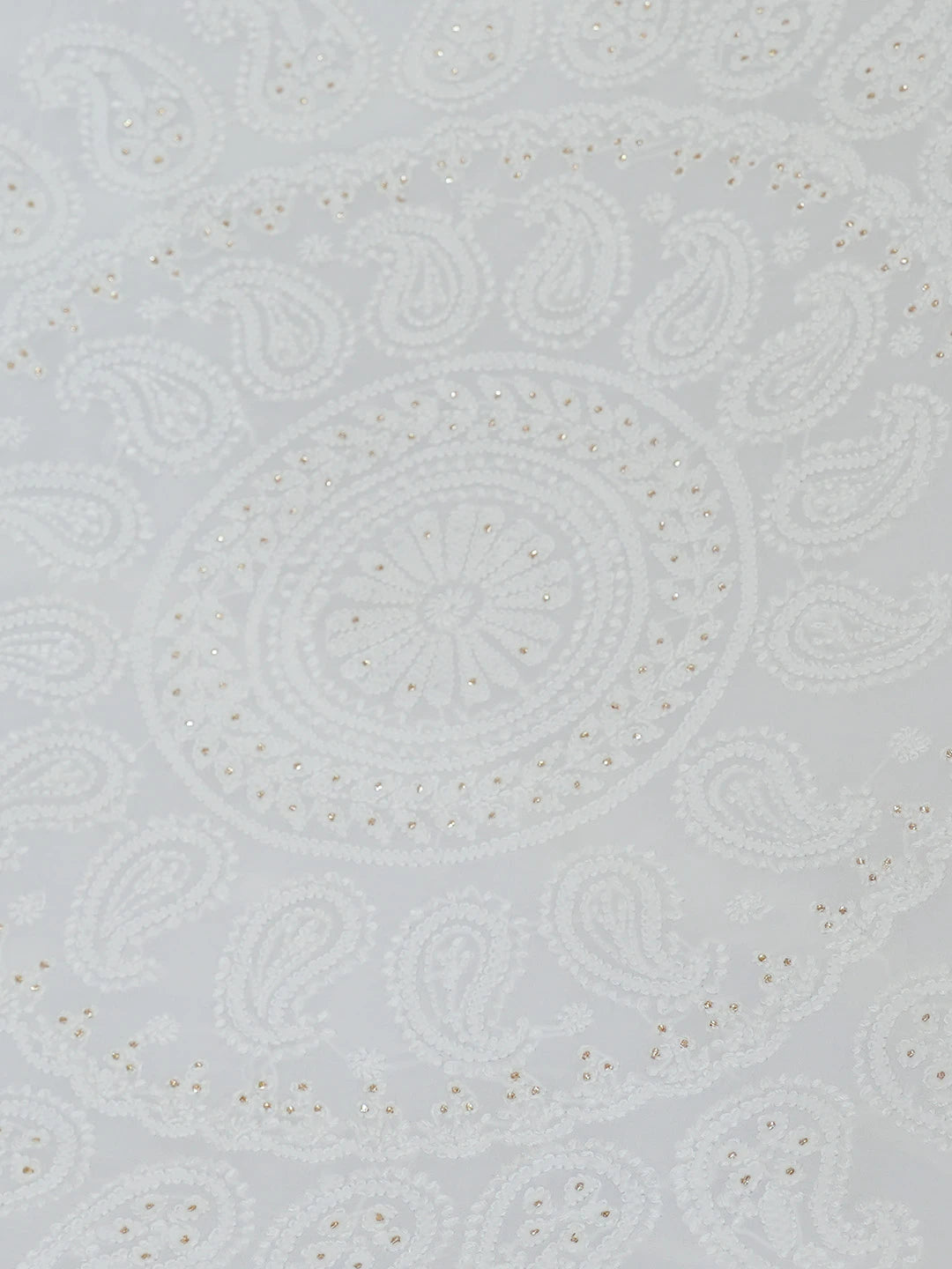 Ada Hand Embroidered Dove White Viscose Georgette Lucknowi Chikankari Saree/Blouse with Muqaish Work 01A670907