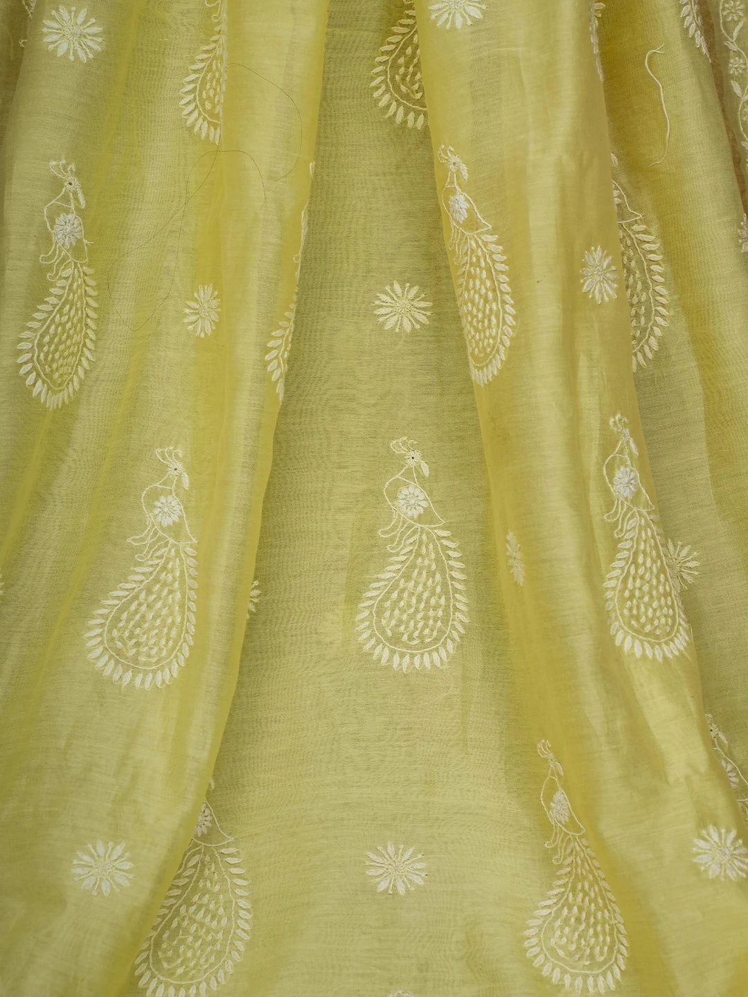 Ada Hand Embroidered Lemon Chanderi Lucknowi Chikankari Saree and Blouse 01A689918