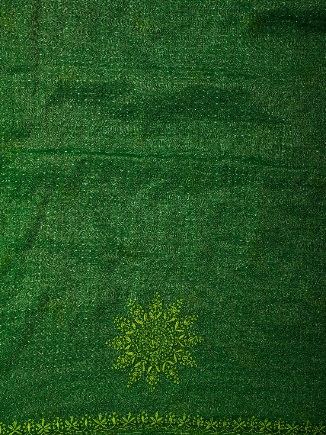 Ada Hand Embroidered Green Tissue Lucknowi Chikankari Saree and Blouse 01A679617