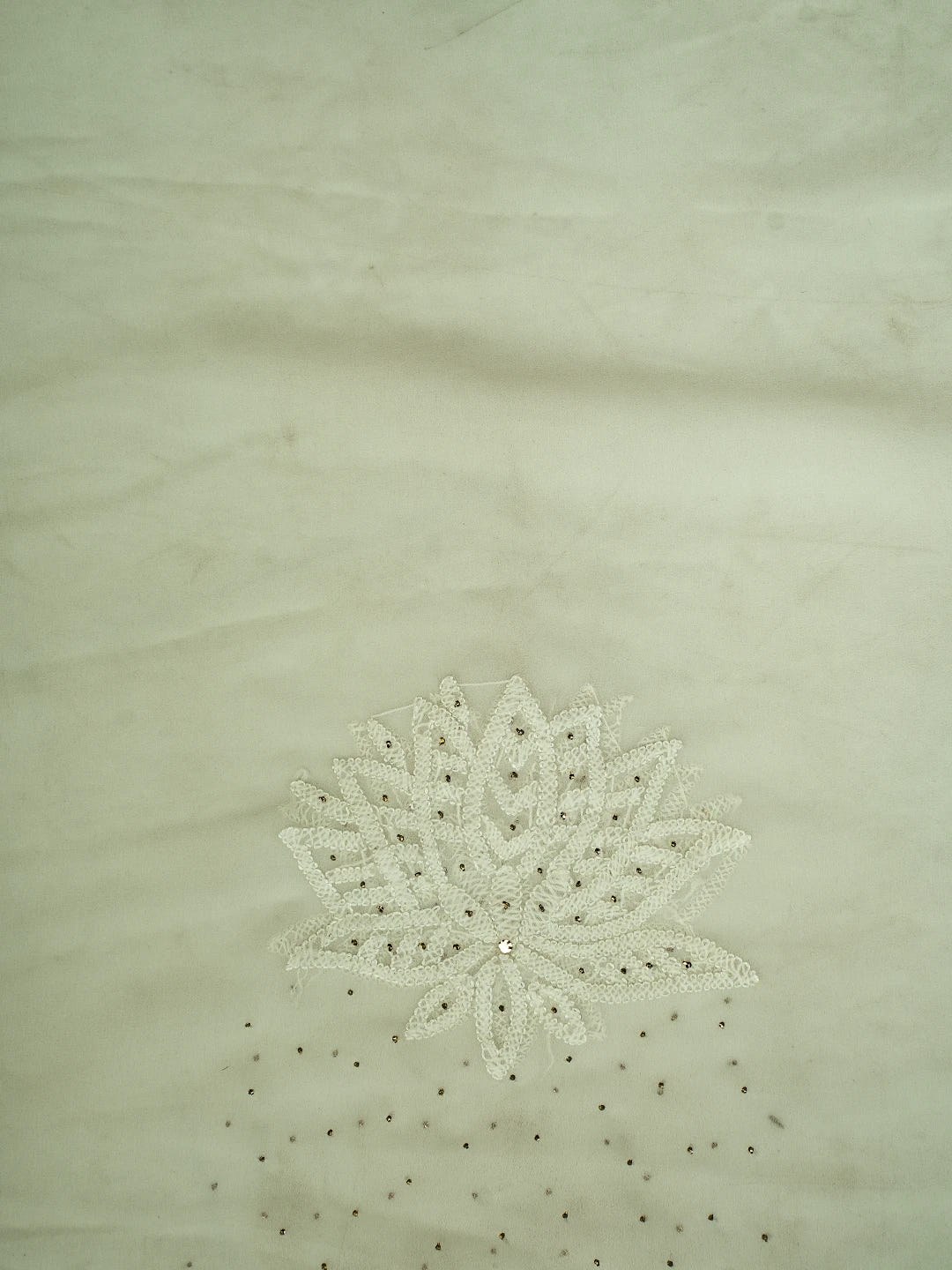 Ada Hand Embroidered Ivory White Georgette Lucknowi Chikankari Saree and Blouse With Mukaish Work 01A457872