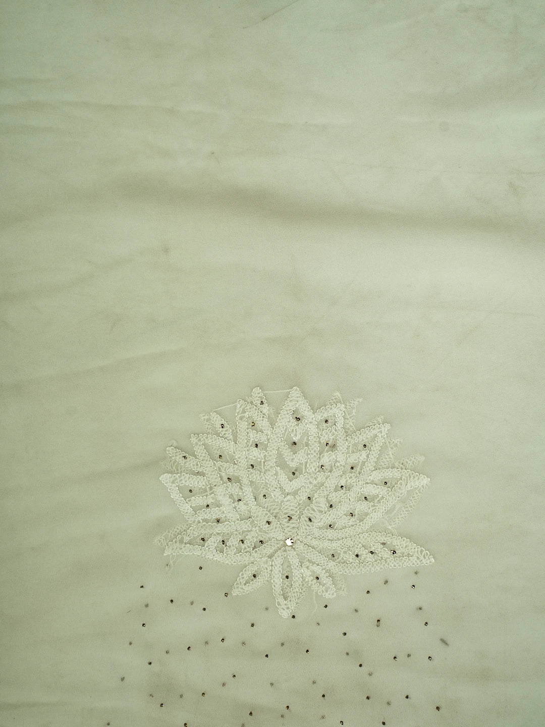 Ada Hand Embroidered Ivory White Georgette Lucknowi Chikankari Saree and Blouse With Mukaish Work 01A457872