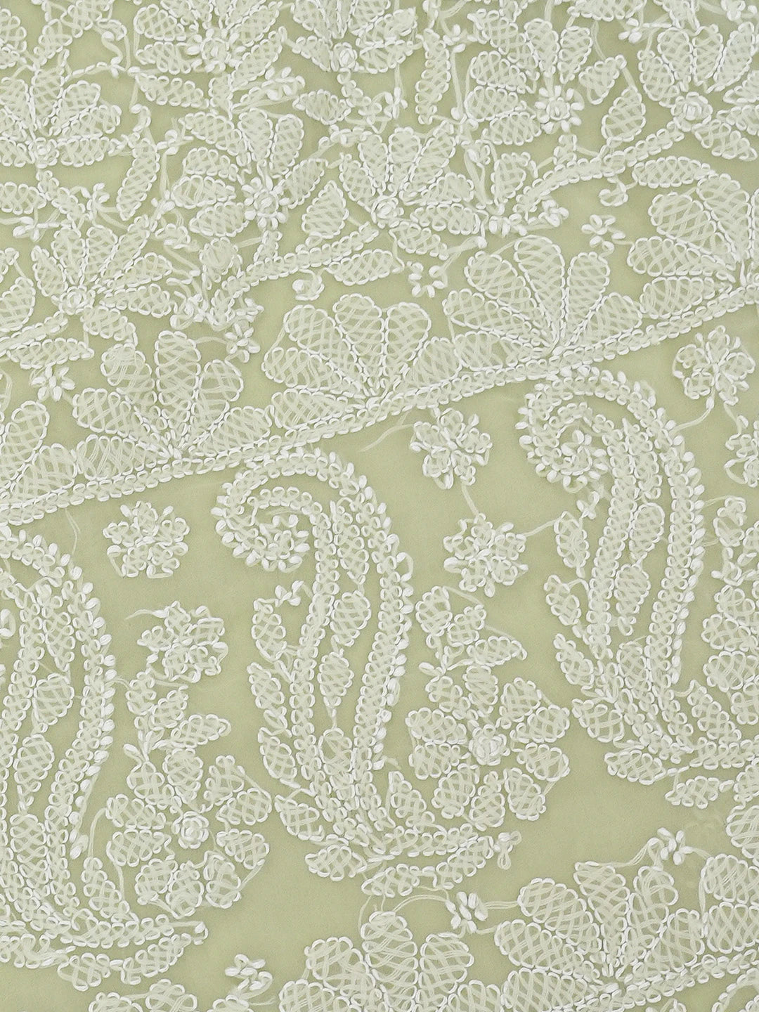 Ada Hand Embroidered Light Green Georgette Lucknowi Chikankari Saree and Blouse 01A719258