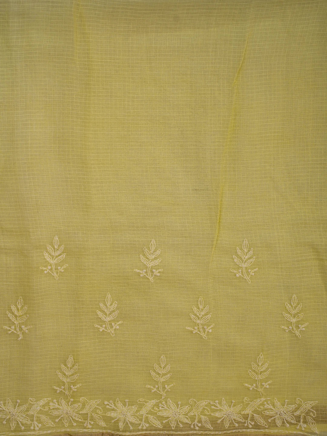 Ada Hand Embroidered Lemon Yellow Kota Lucknowi Chikankari Saree and Blouse 01A692938