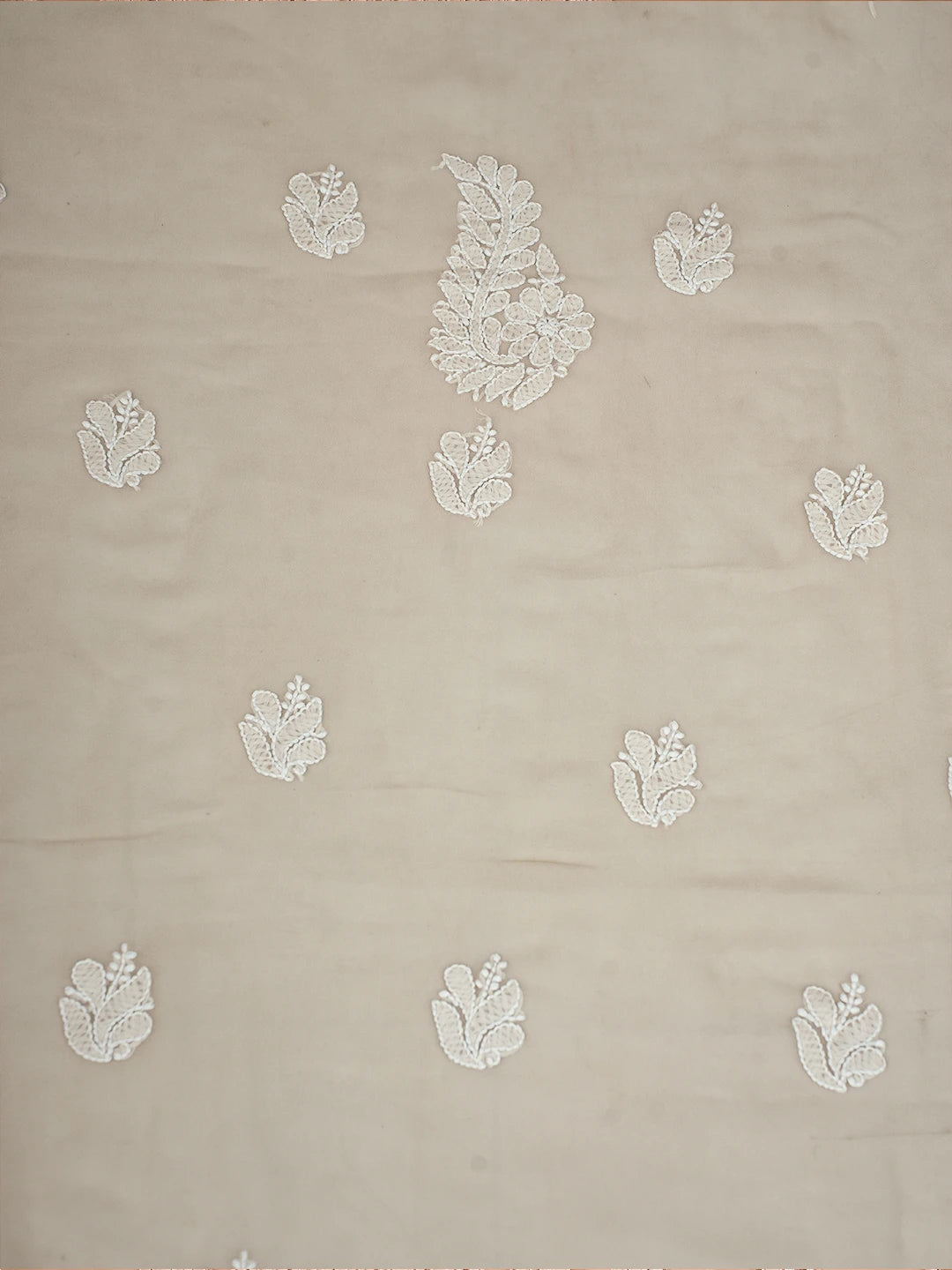 Ada Hand Embroidered Taupe Fawn Georgette Lucknowi Chikankari Unstitched Suit Piece A211291