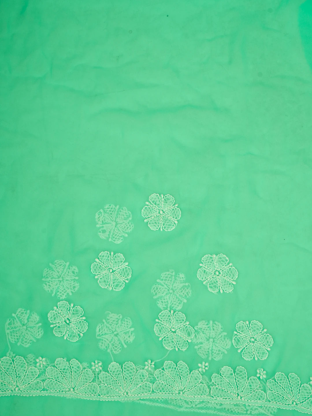 Ada Hand Embroidered Sea Green Georgette Lucknowi Chikankari Saree and Blouse 01A756732
