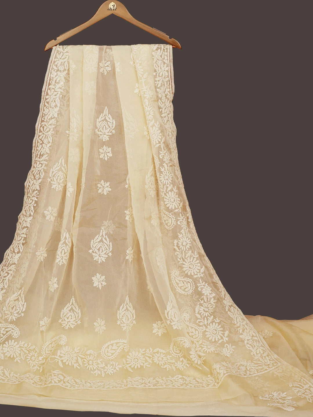 Ada Hand Embroidered Fawn Organza Lucknowi Chikankari Saree With Blouse 01A772260