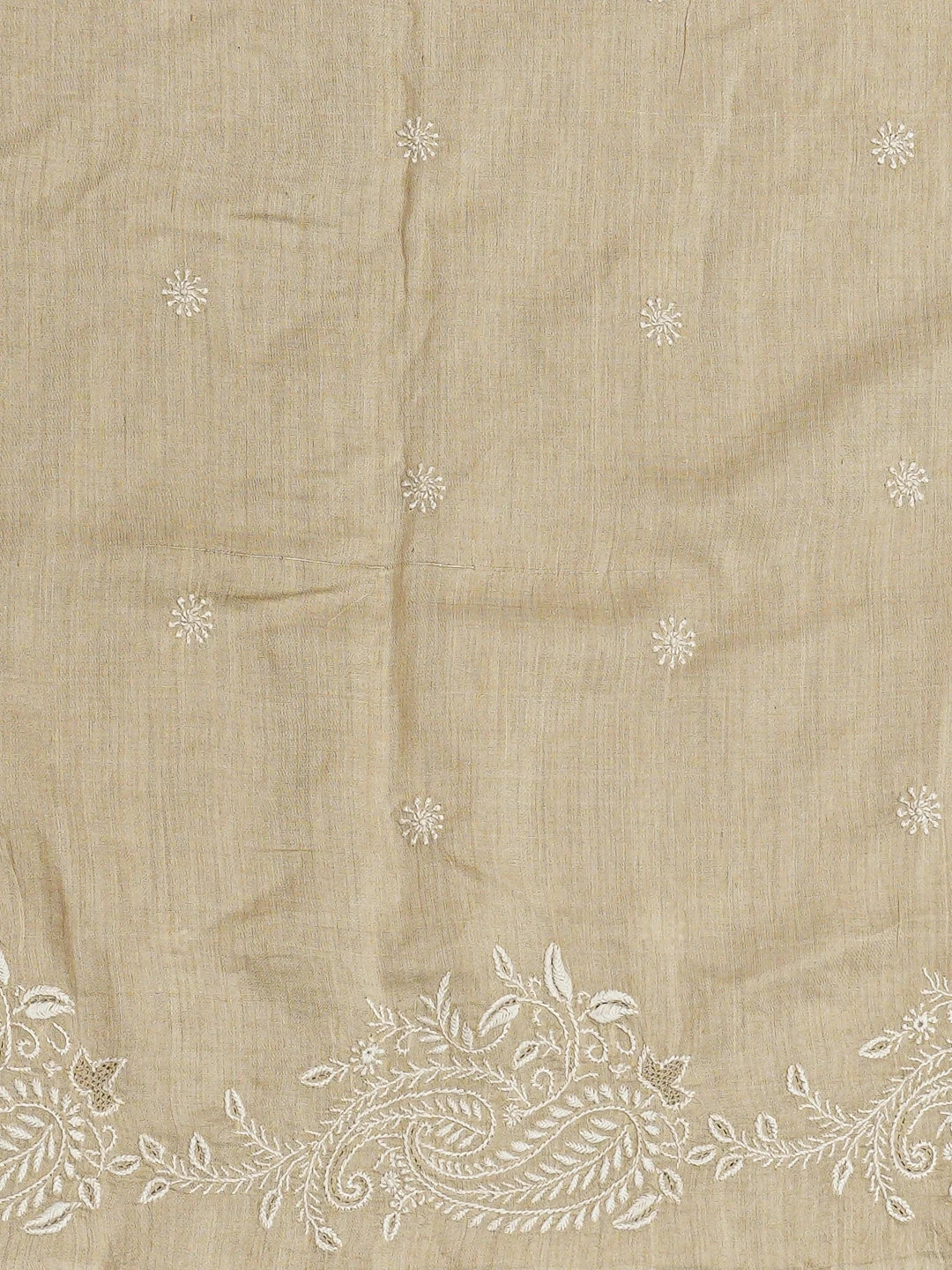 Ada Hand Embroidered Fawn Moonga Silk Lucknowi Chikankari Saree and Blouse 01A837064