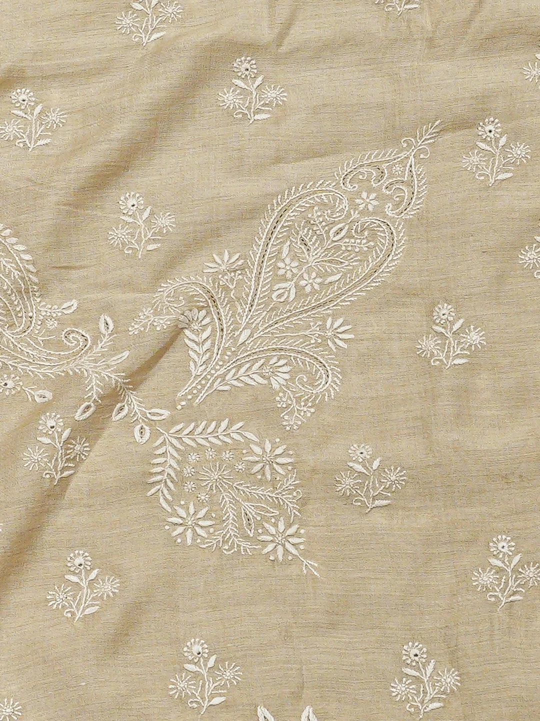 Ada Hand Embroidered Fawn Moonga Silk Lucknowi Chikankari Saree and Blouse 01A837064