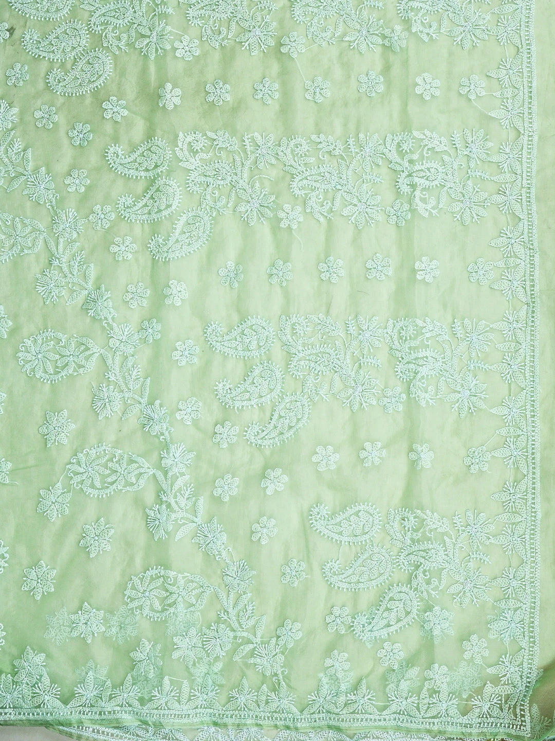 Ada Hand Embroidered Mint Green Organza Lucknowi Chikankari Saree With Blouse 01A794133