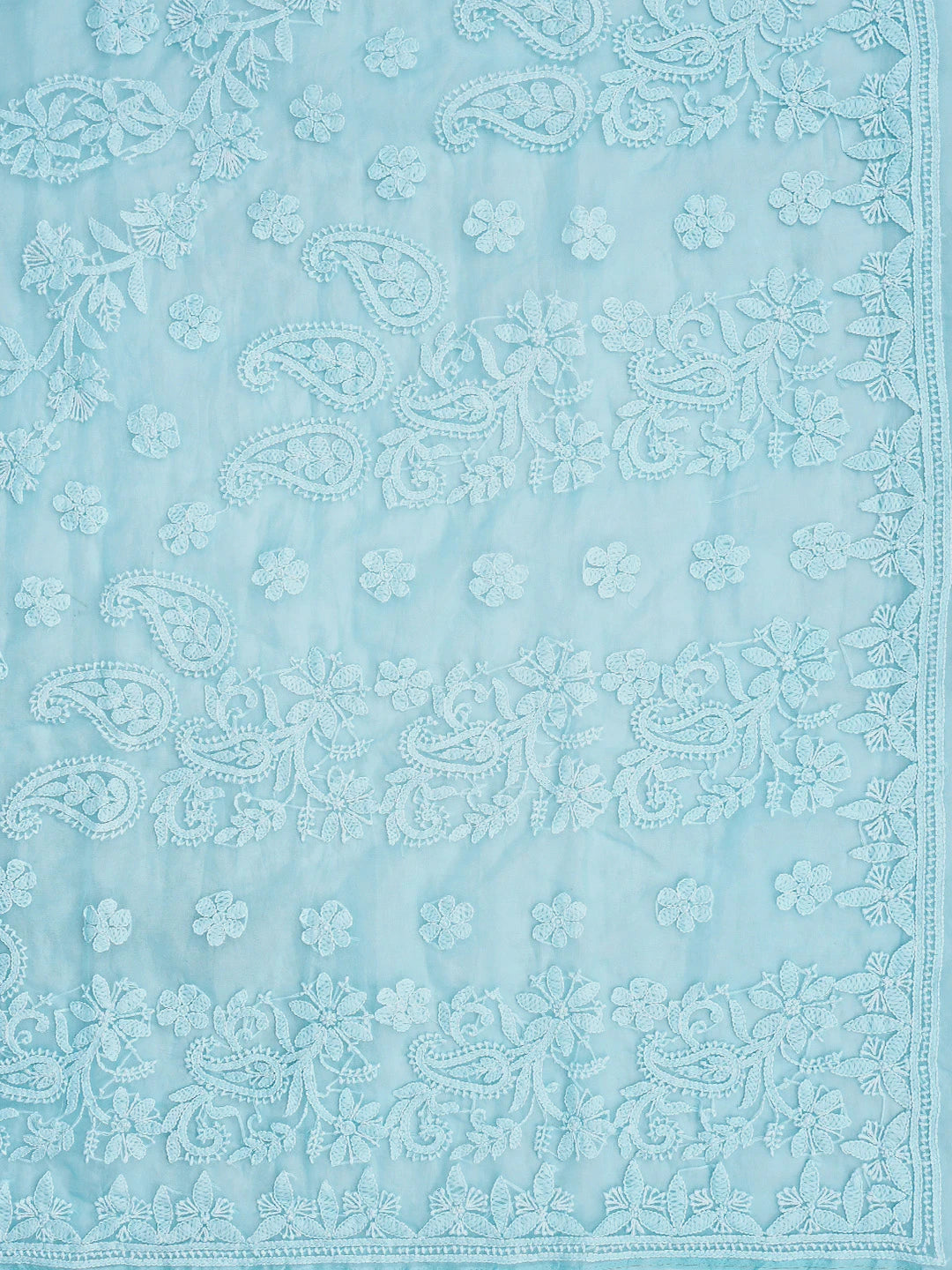 Ada Hand Embroidered Sky Blue Organza Lucknowi Chikankari Saree and Blouse 01A794130