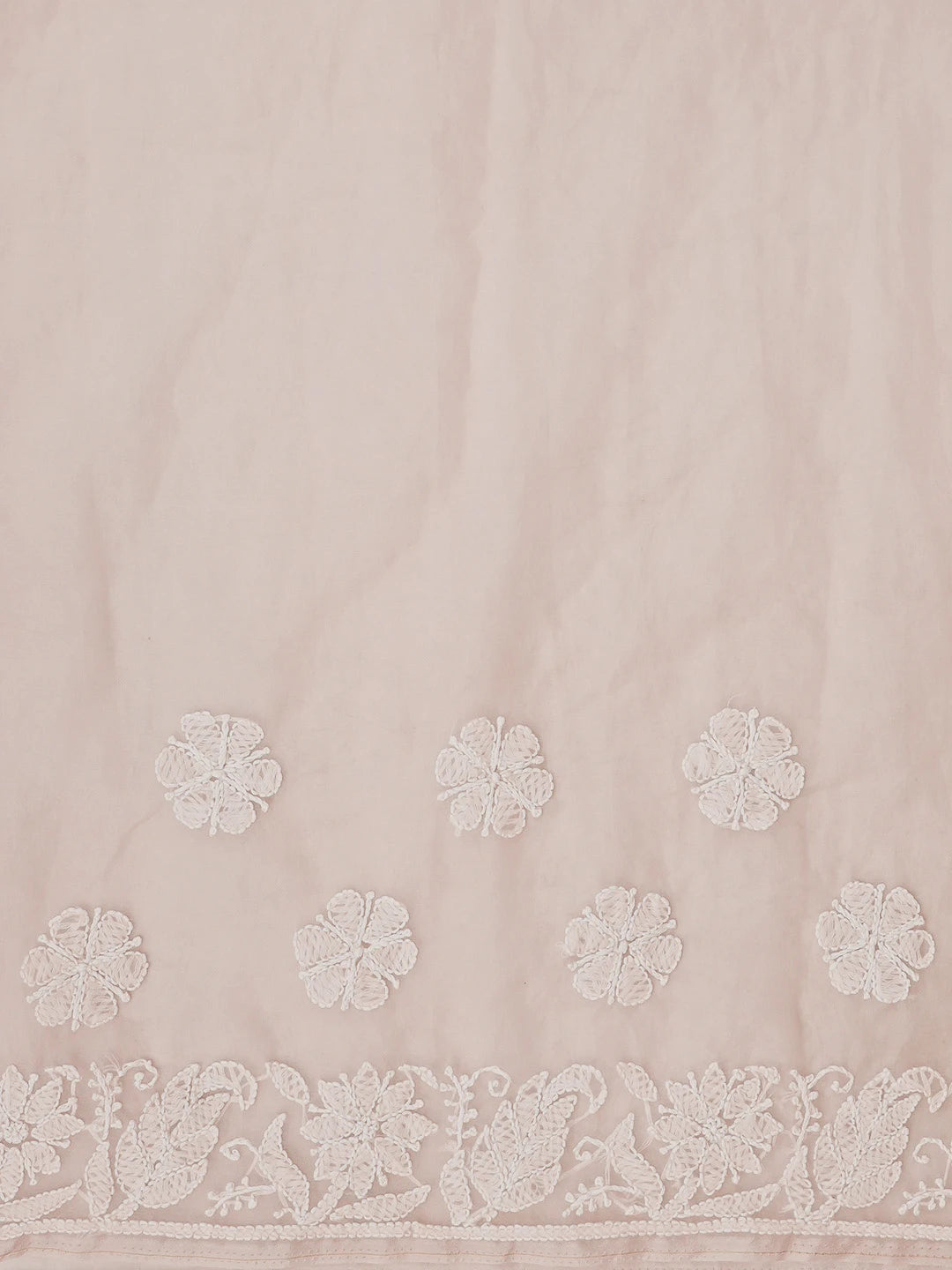Ada Hand Embroidered Light Pink Organza Lucknowi Chikankari Saree and Blouse 01A772249
