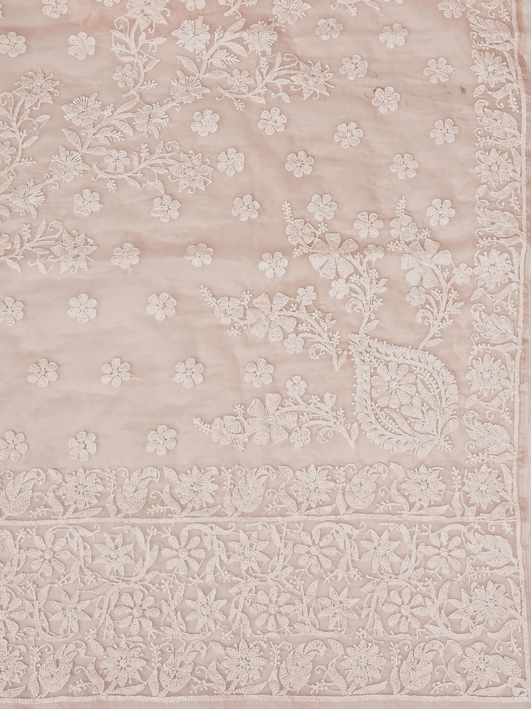 Ada Hand Embroidered Light Pink Organza Lucknowi Chikankari Saree and Blouse 01A772249
