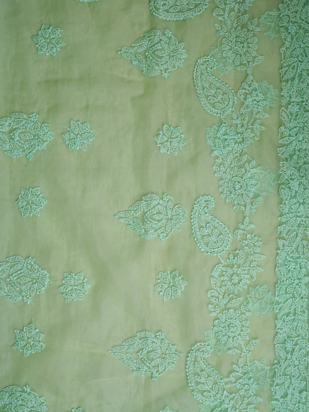 Ada Hand Embroidered Pistachio Green Organza Lucknowi Chikankari Saree With Blouse 01A818230